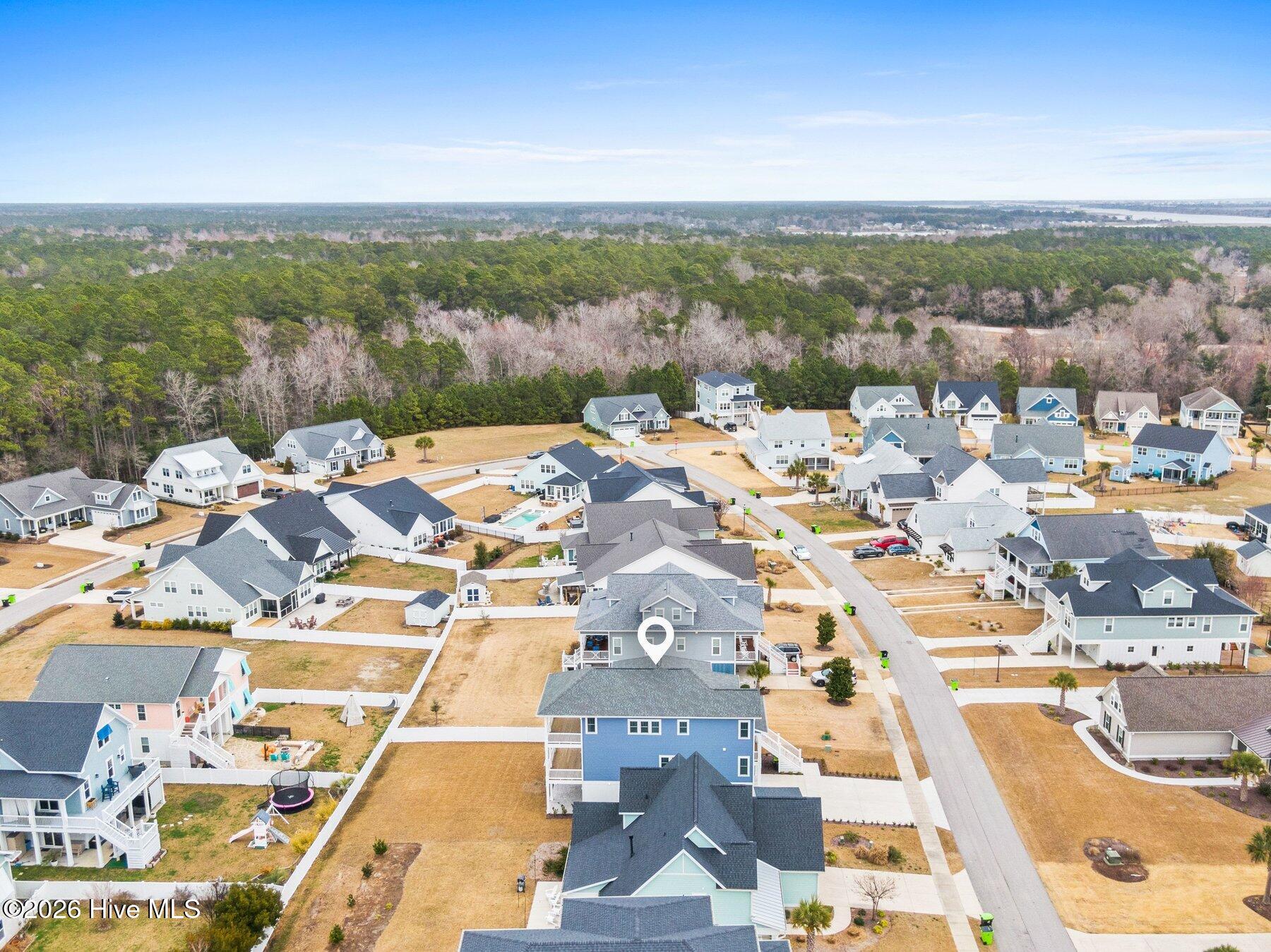 100558879 | Photo 49