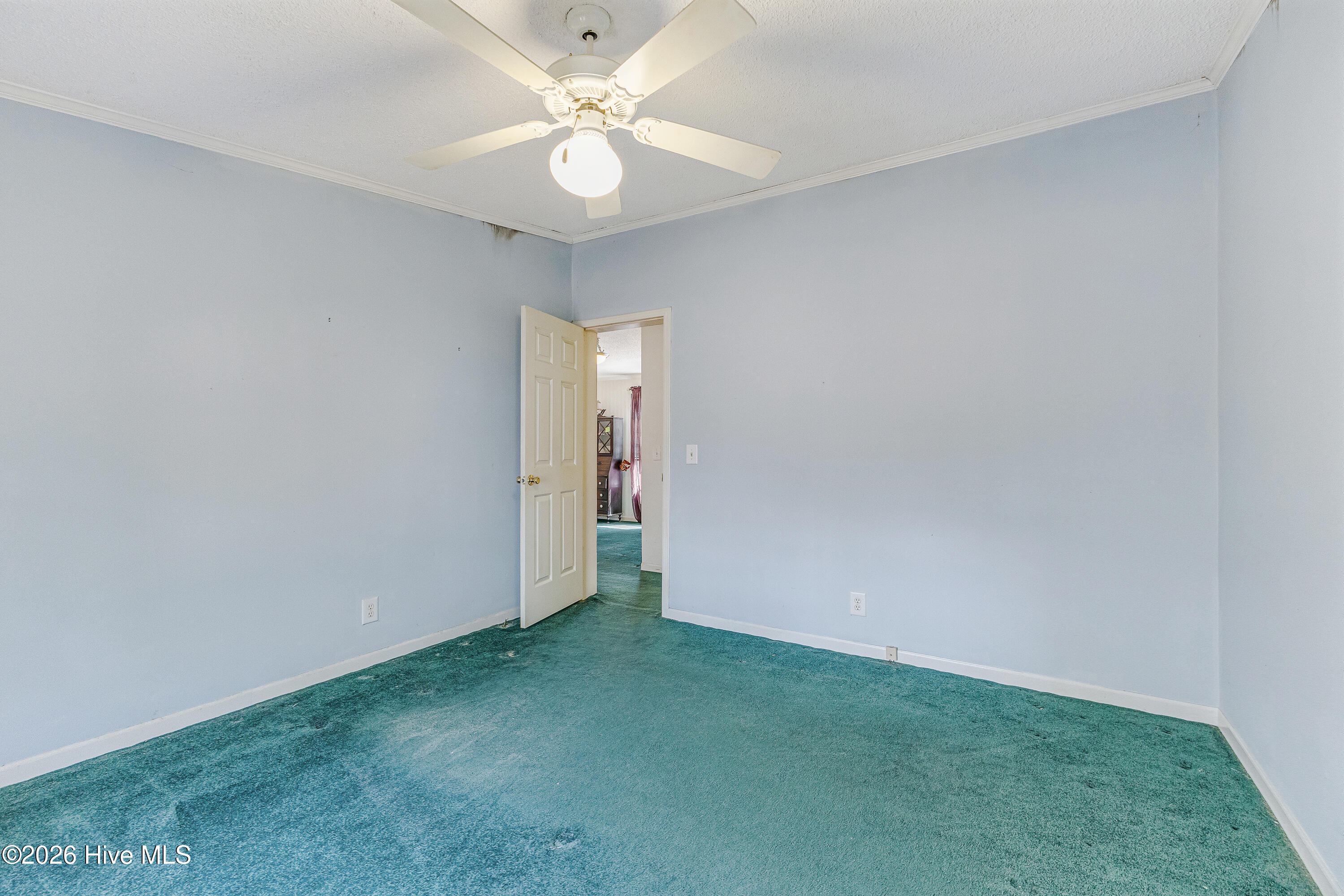 100559404 | Photo 20