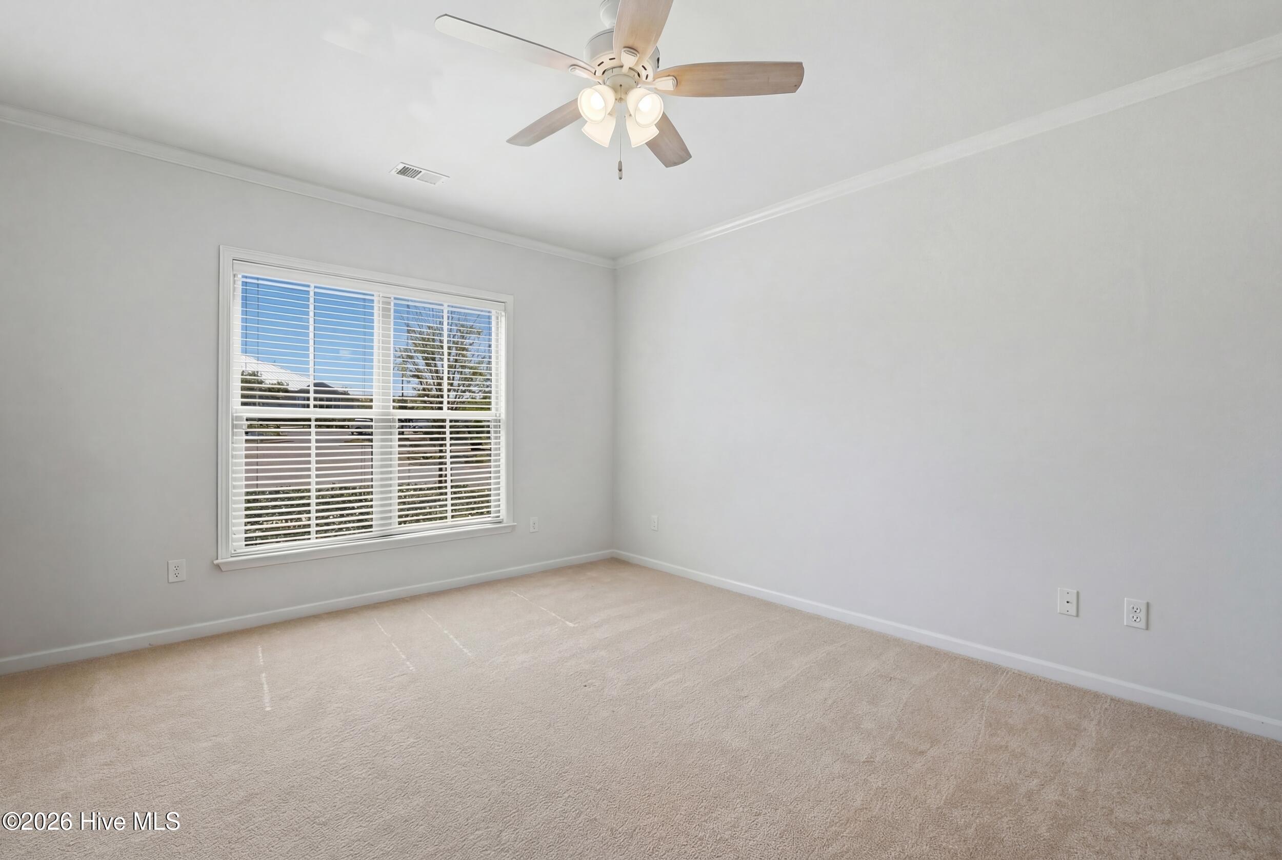 100565292 | Photo 27