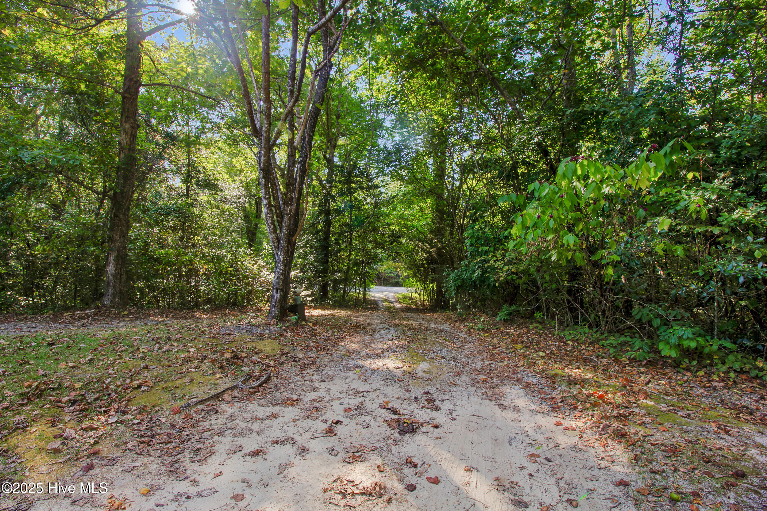 100535721 | Photo 26