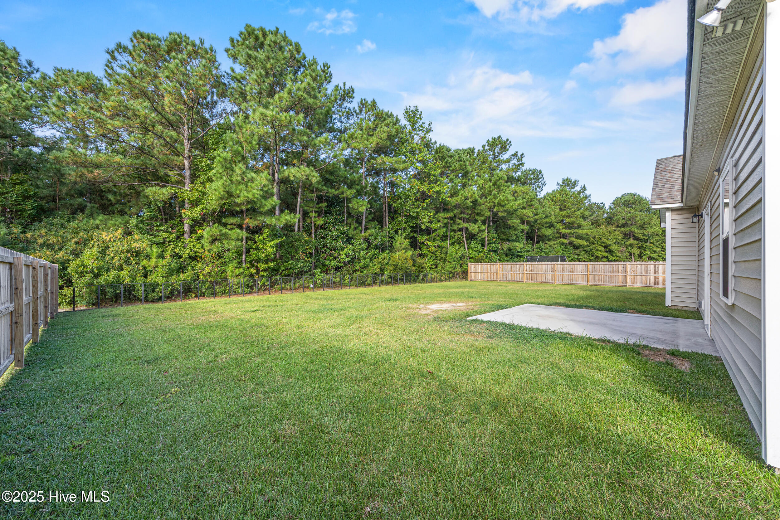 100531744 | Photo 32