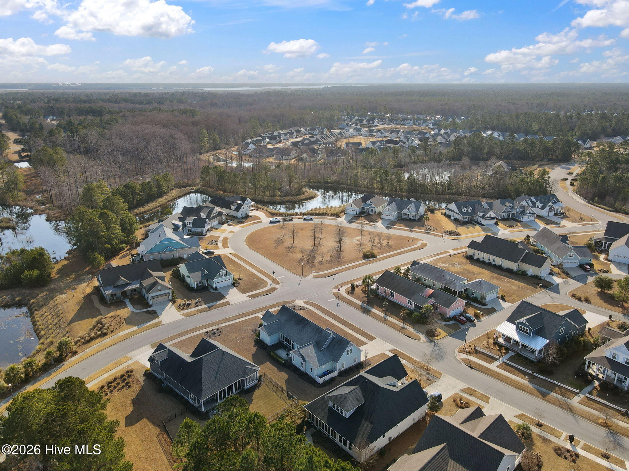 100554353 | Photo 66