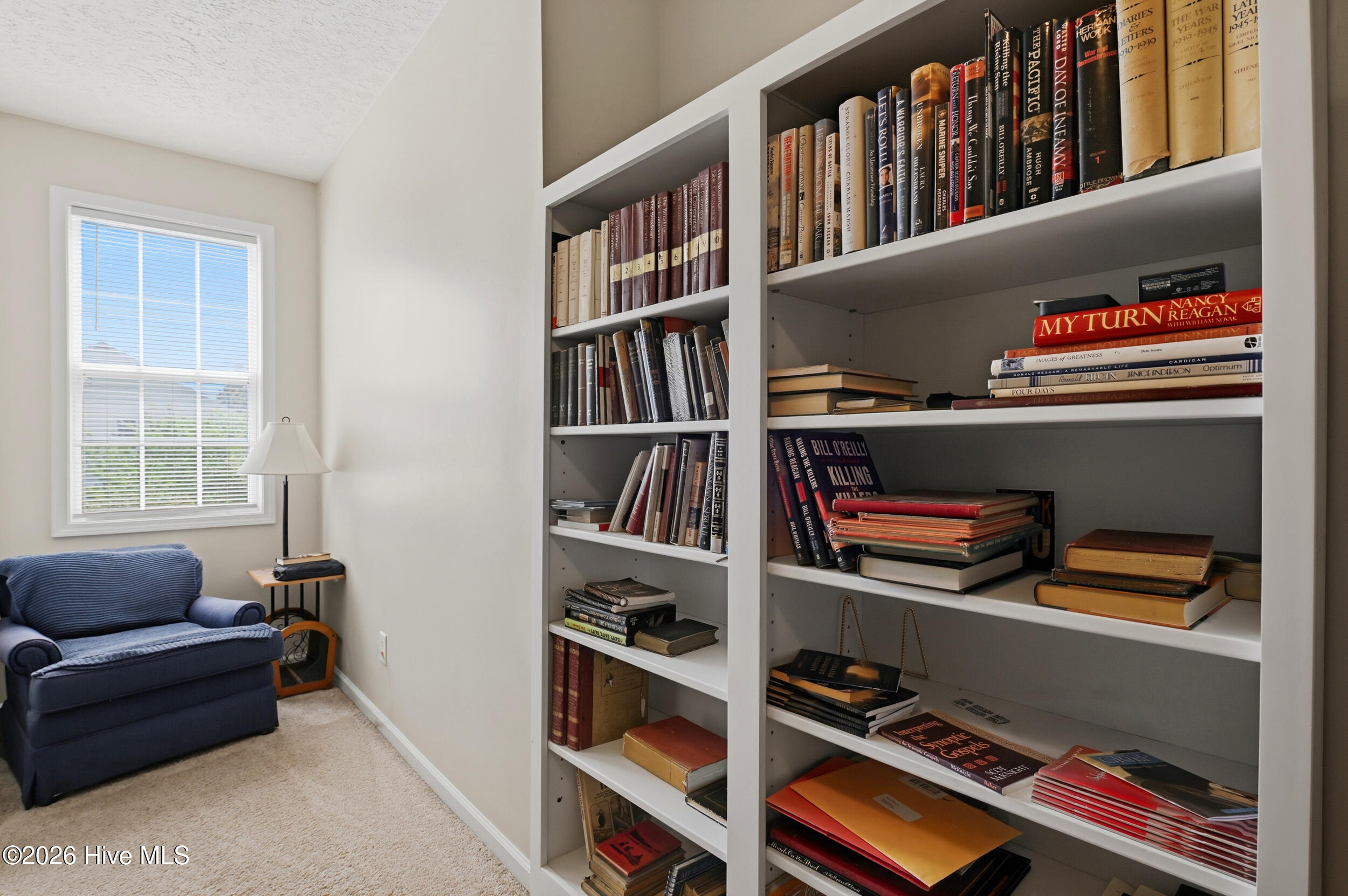 100566143 | Photo 26