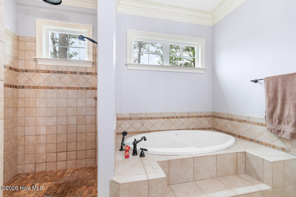 100558482 | Photo 49