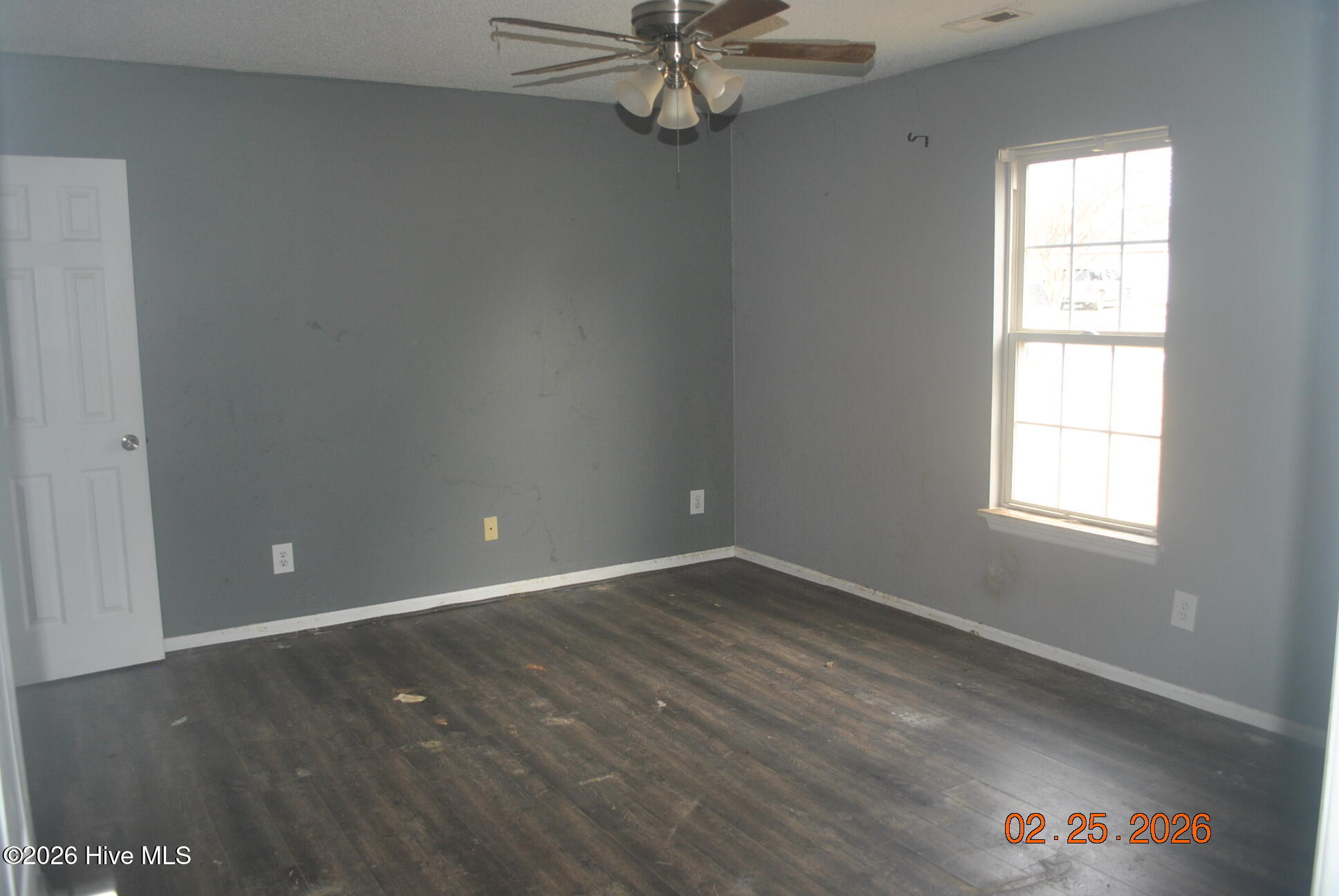 100556604 | Photo 13