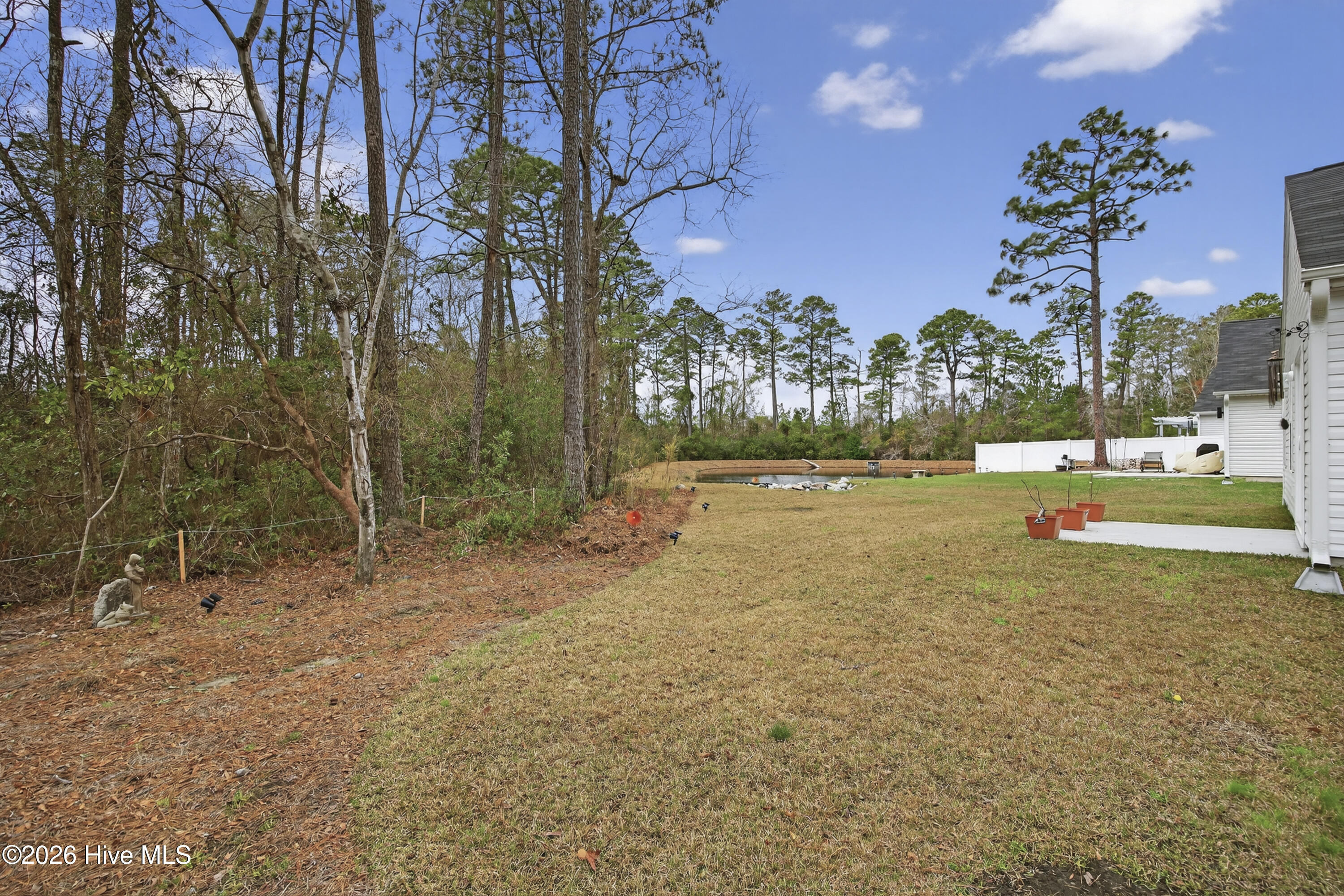 100560520 | Photo 10