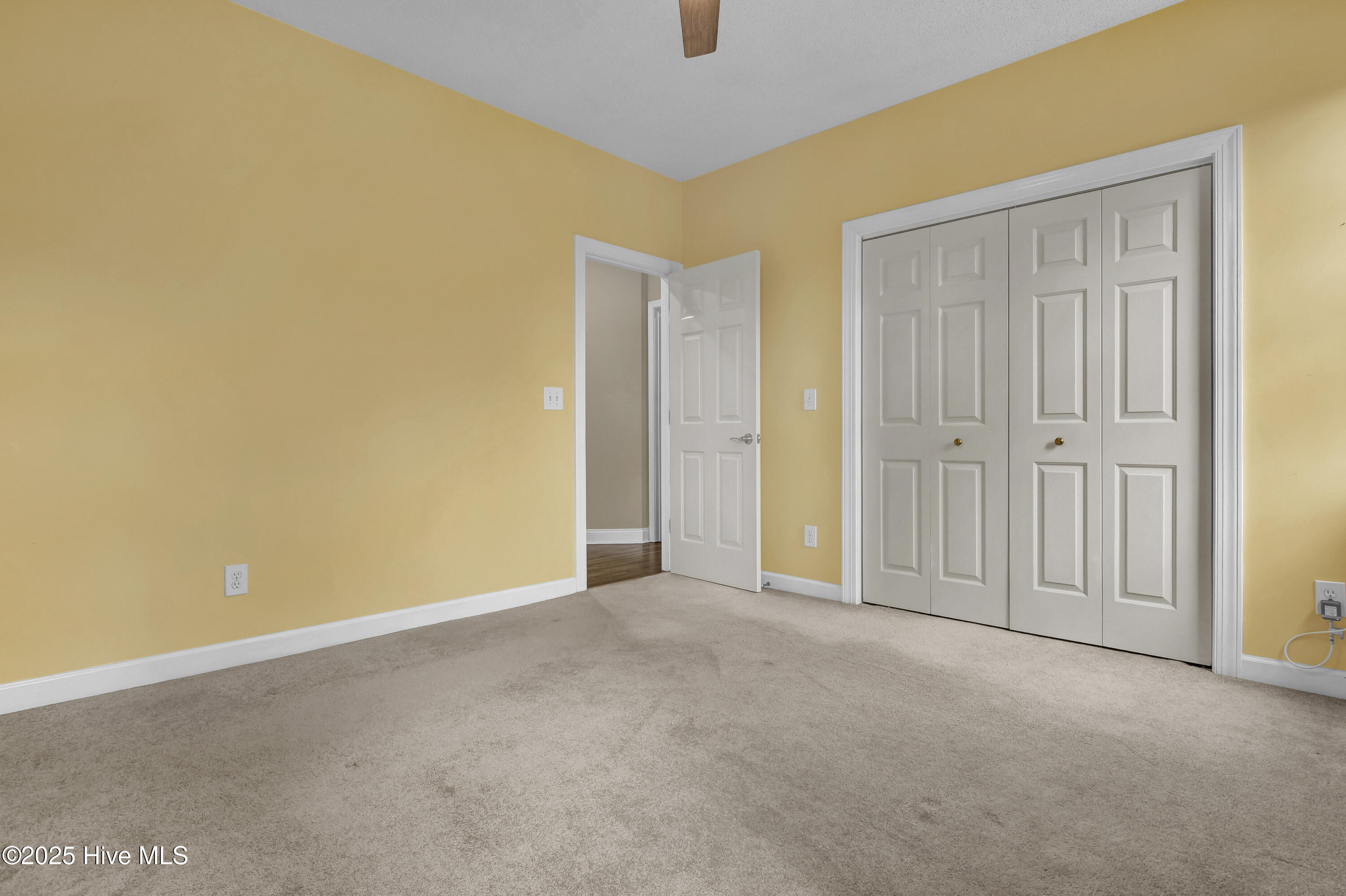 100543498 | Photo 32