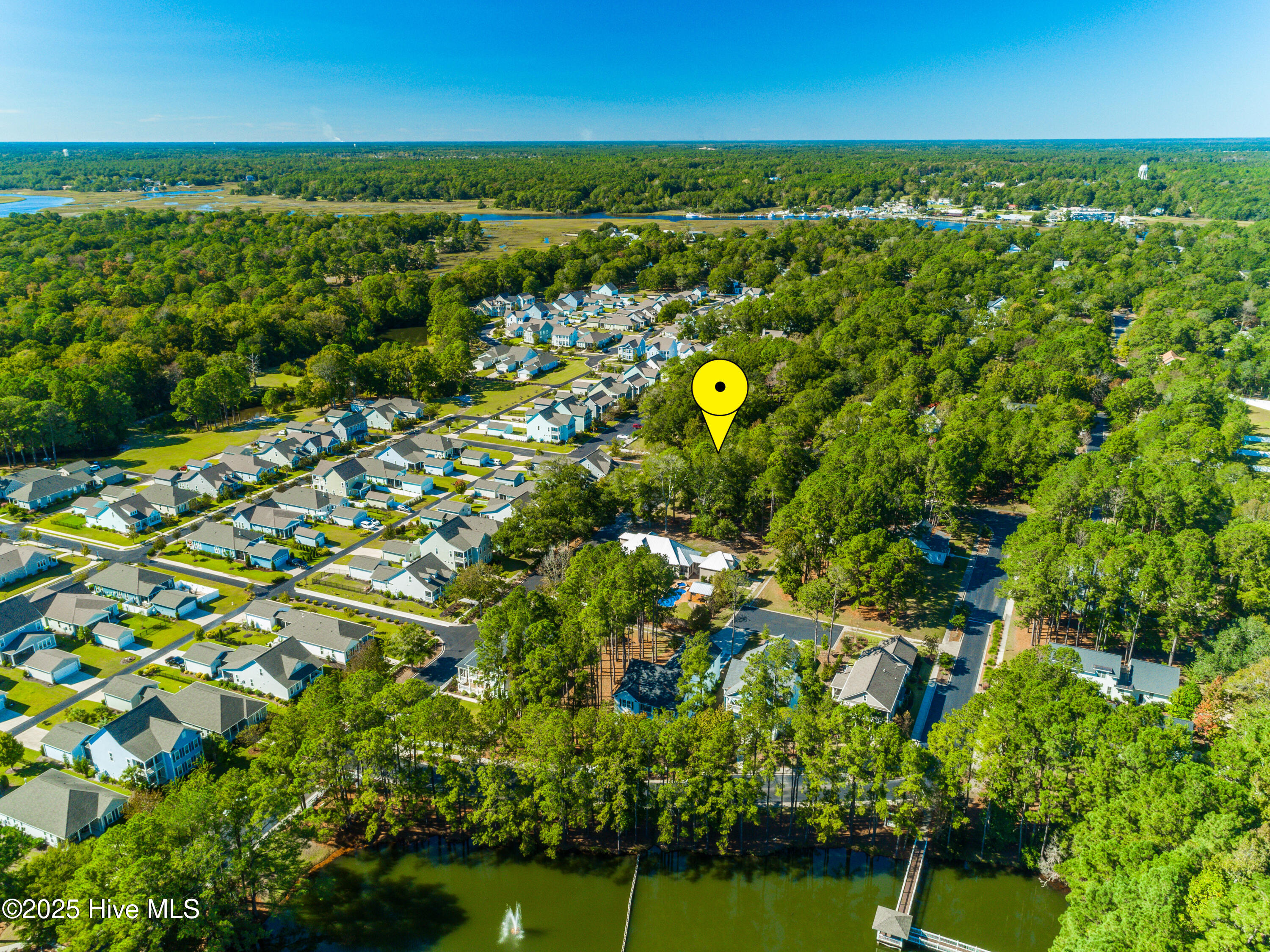 100542675 | Photo 10