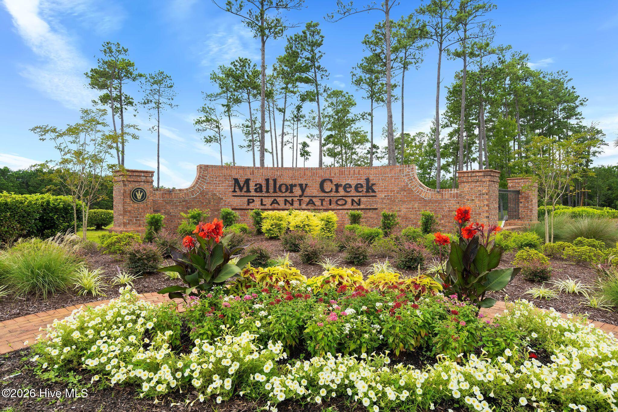 100562900 | Photo 42