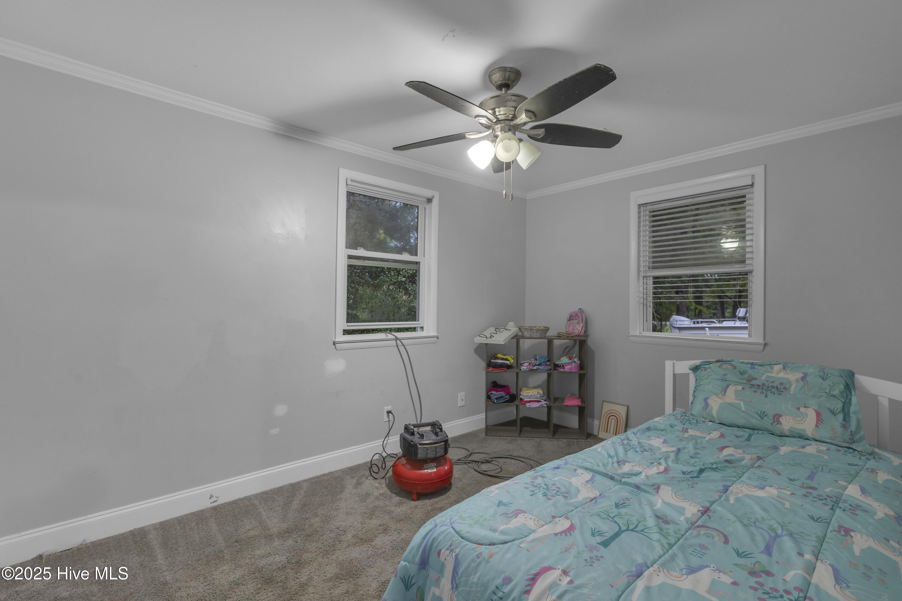 100538970 | Photo 23