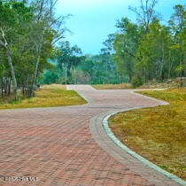 100524017 | Photo 29