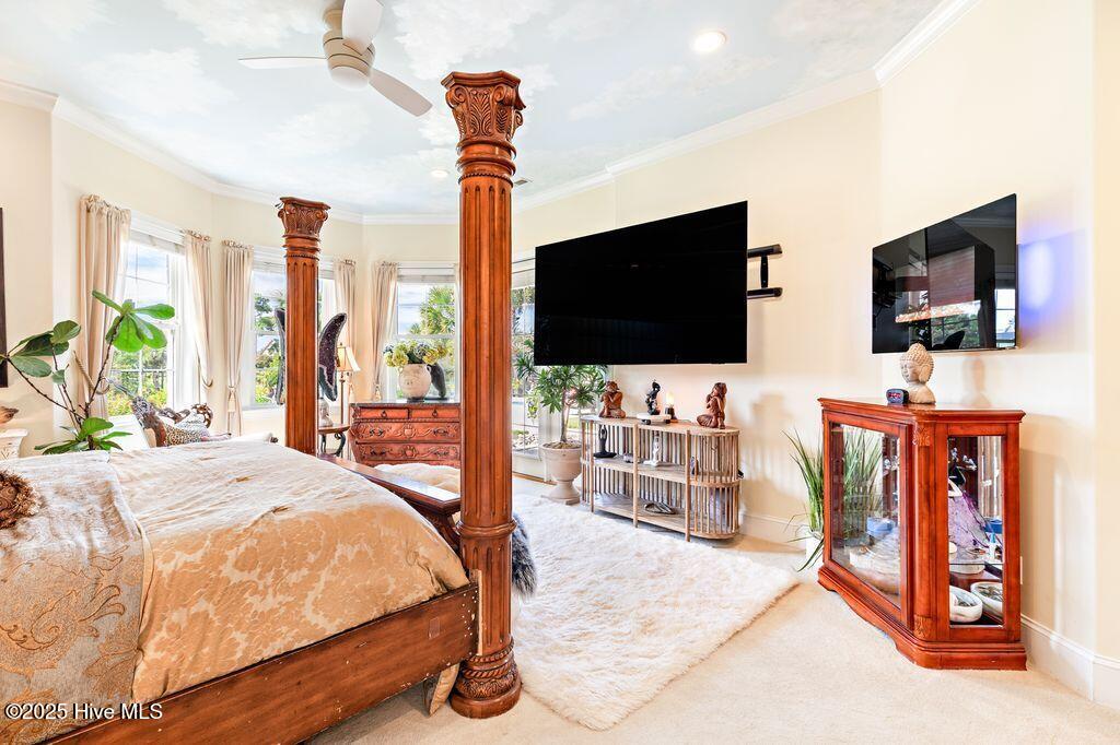 100534476 | Photo 23