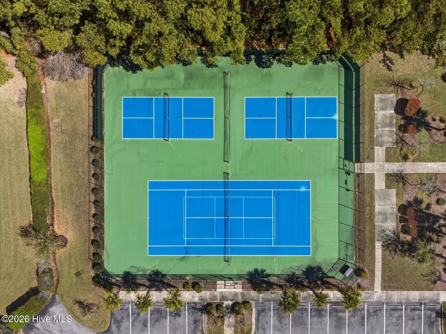 100561084 | Photo 35