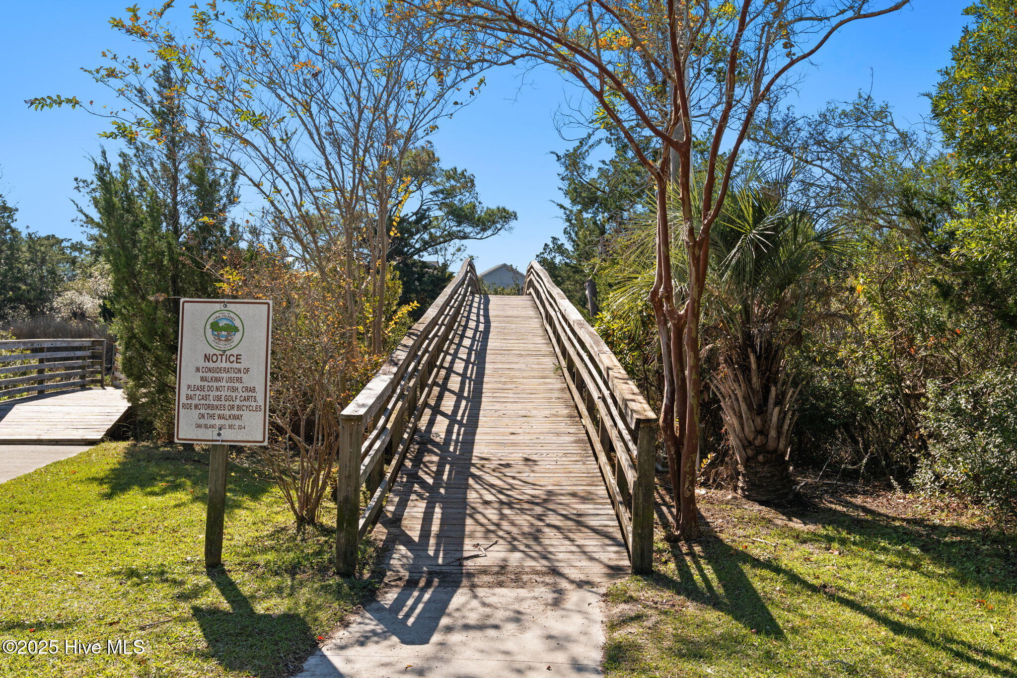 100541037 | Photo 54