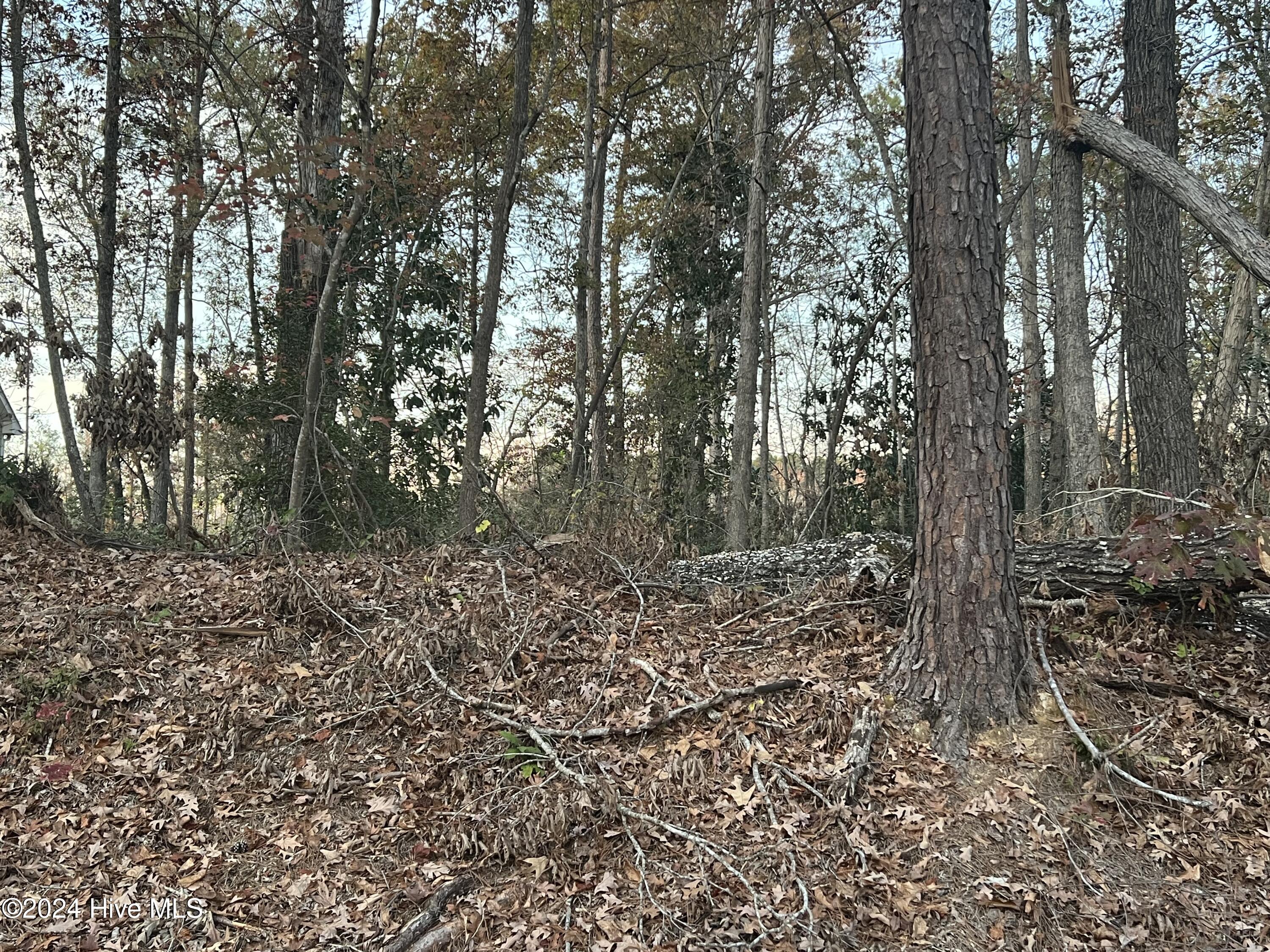 Homes for sale in Whispering Pines, NC | 204 Lakeview Dr, Whispering Pines, NC 28327 | MLS# 100552420