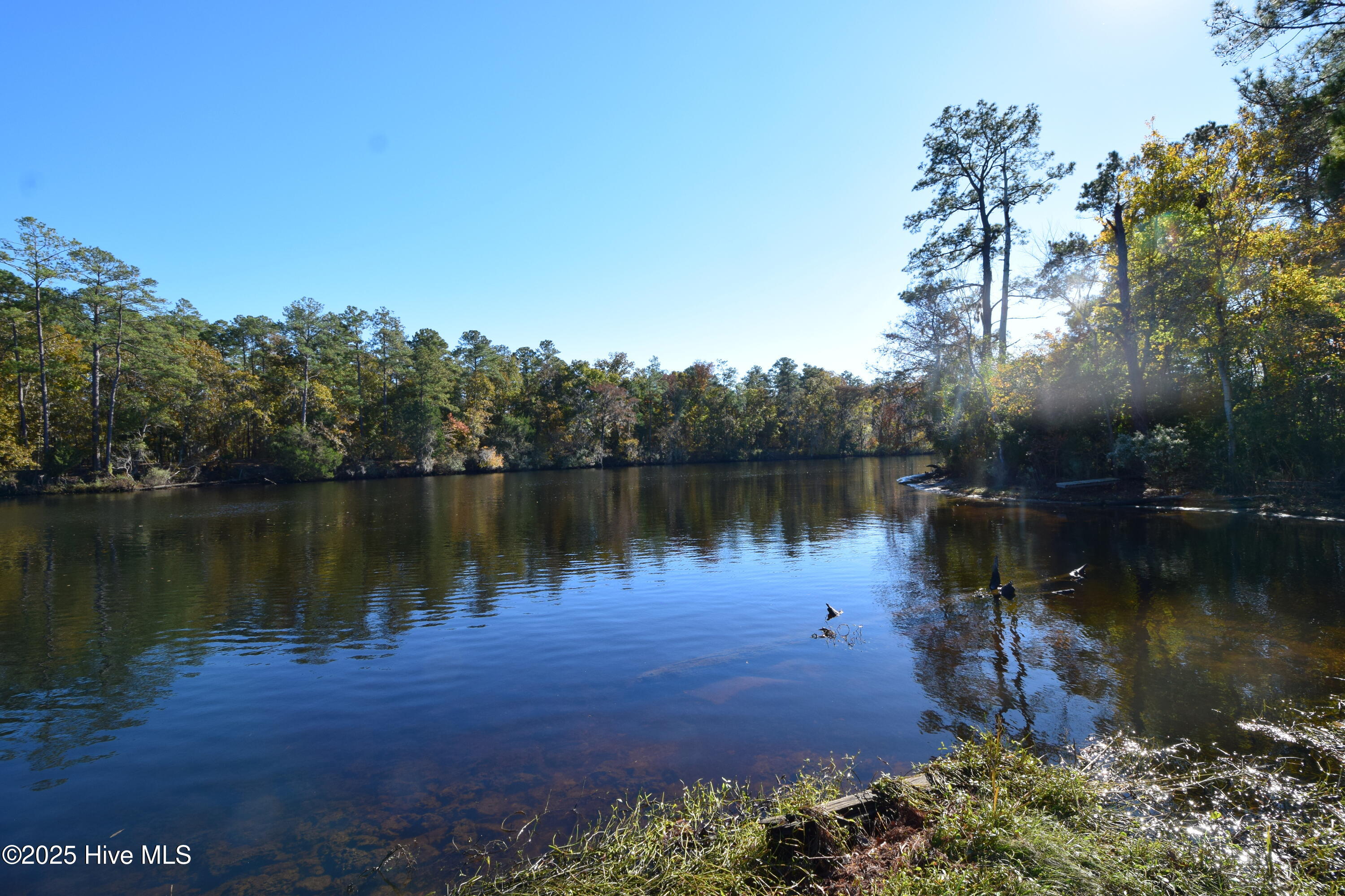 246 Shoreline Drive, New Bern, NC, 28562