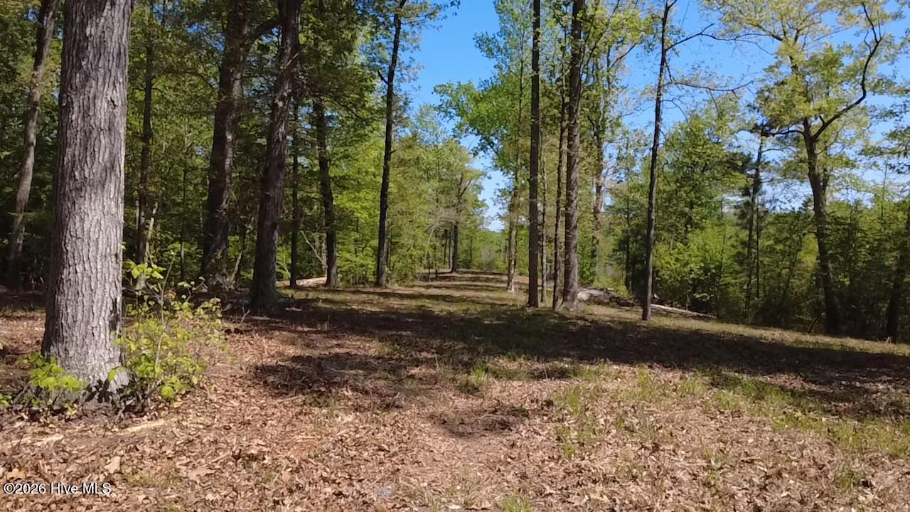 100568145 | Photo 19