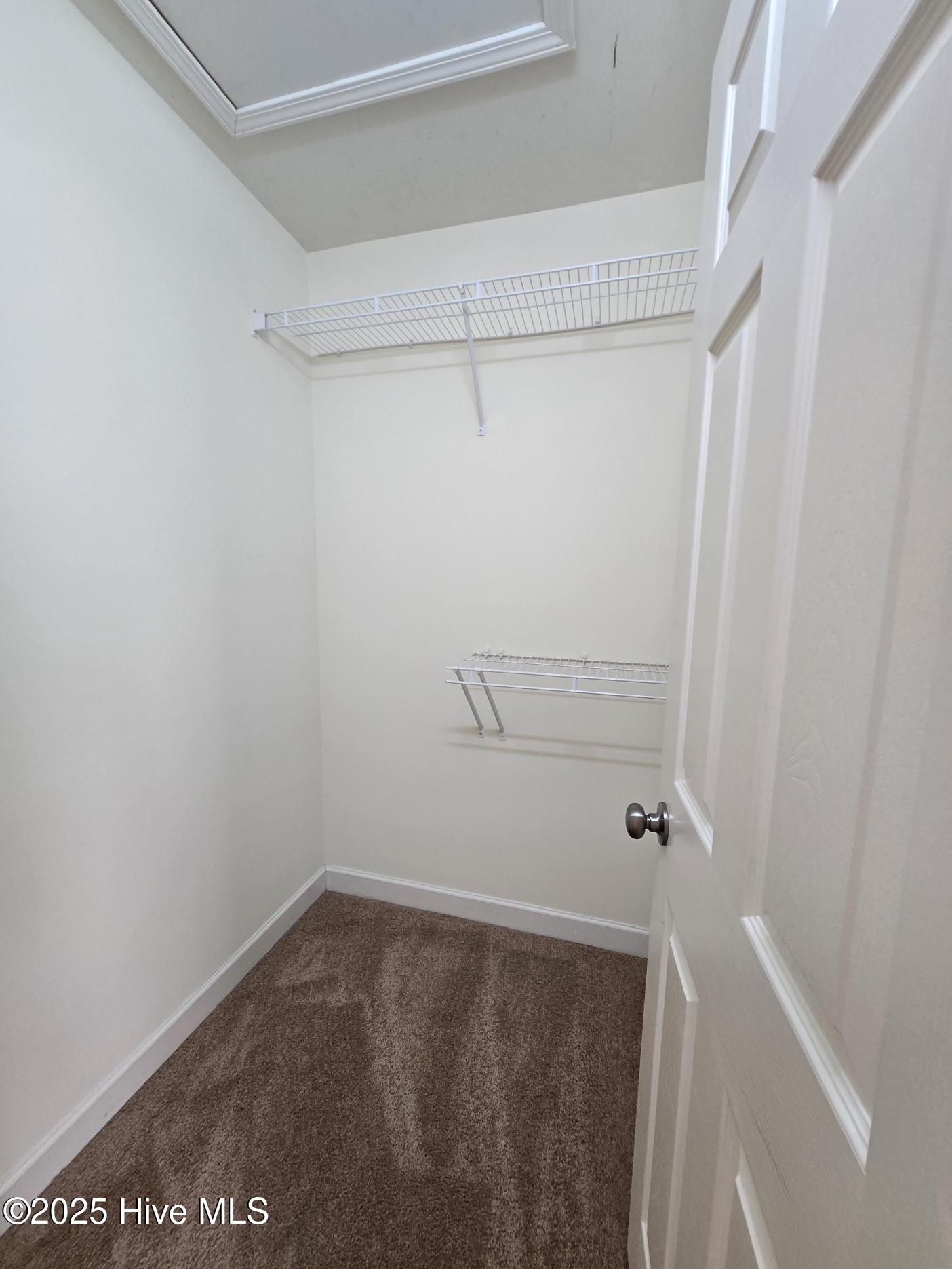 100536173 | Photo 12