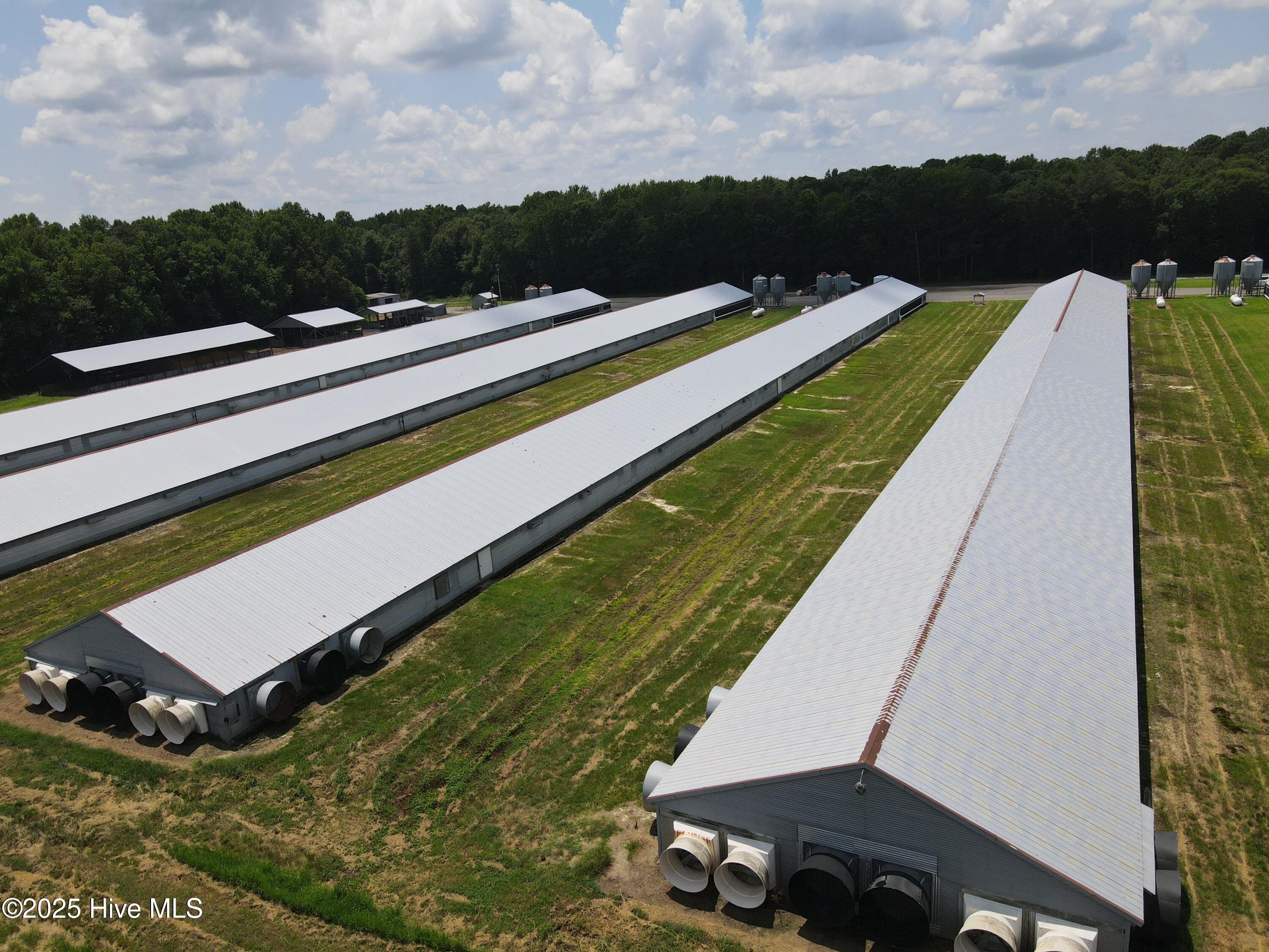 Tbd E Woodrow School Road, Murfreesboro, NC, 27855