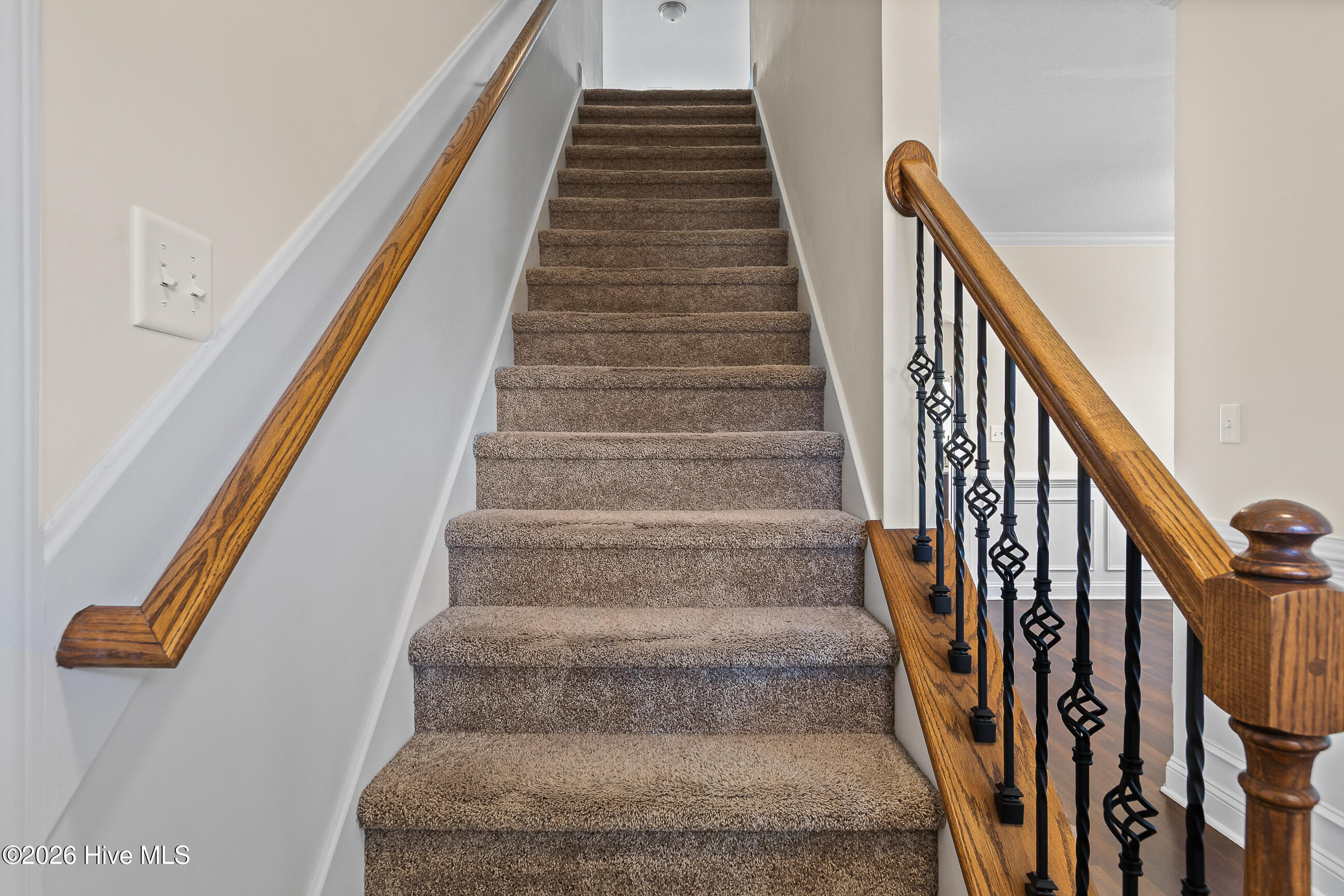 100557533 | Photo 17