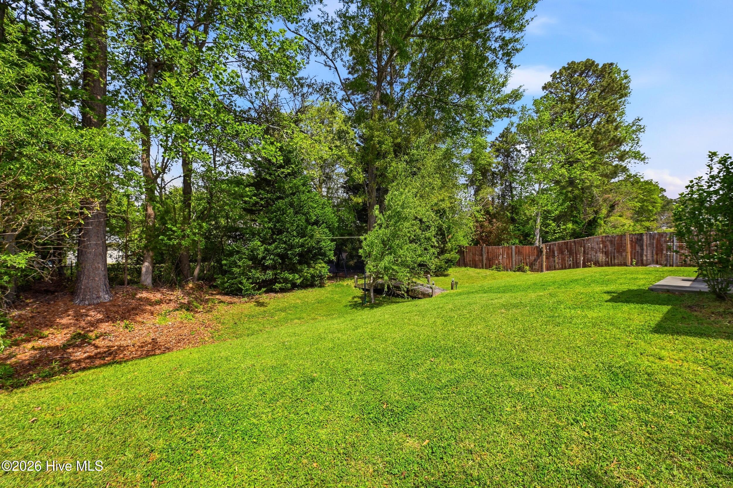 100566143 | Photo 39