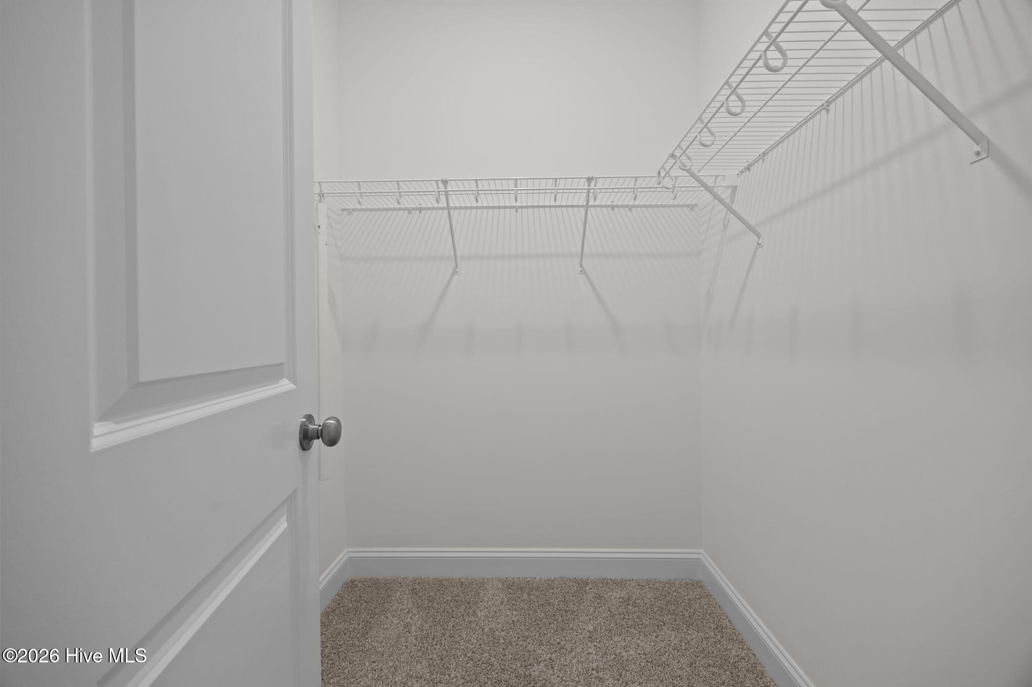 100550505 | Photo 11