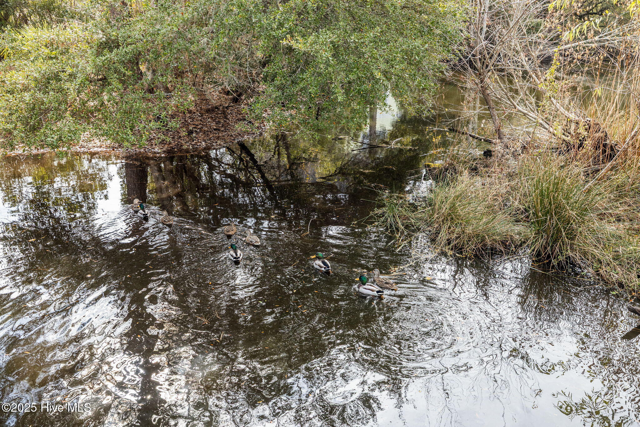 100555260 | Photo 68