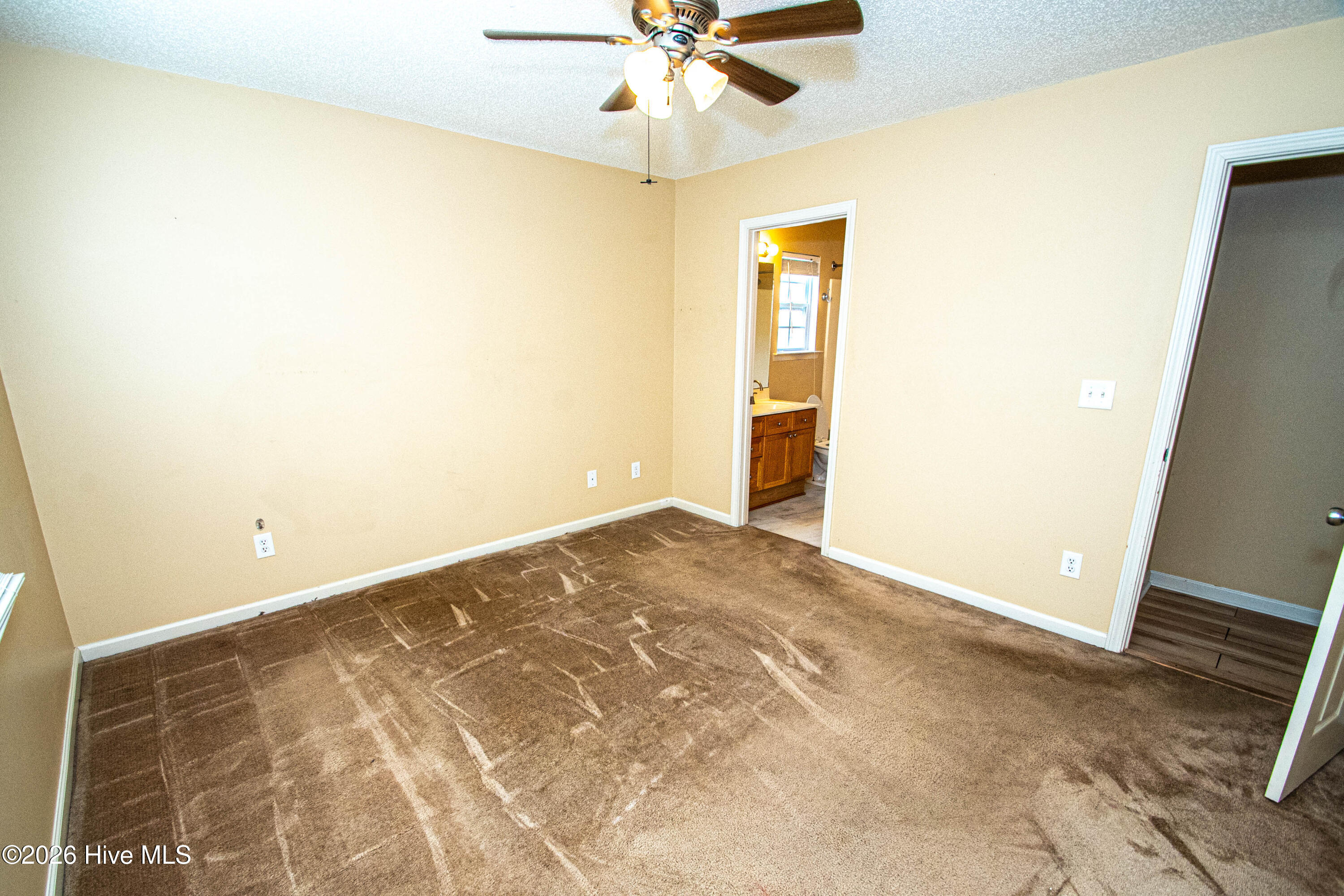 100567931 | Photo 30