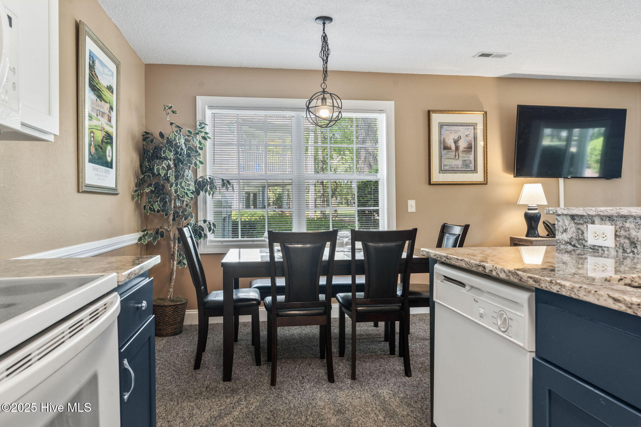 100501410 | Photo 19