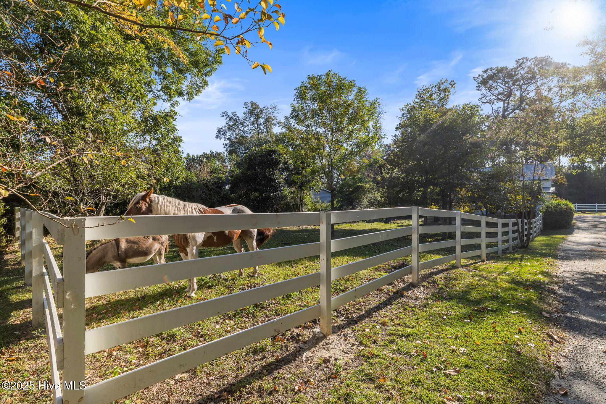 100533679 | Photo 10