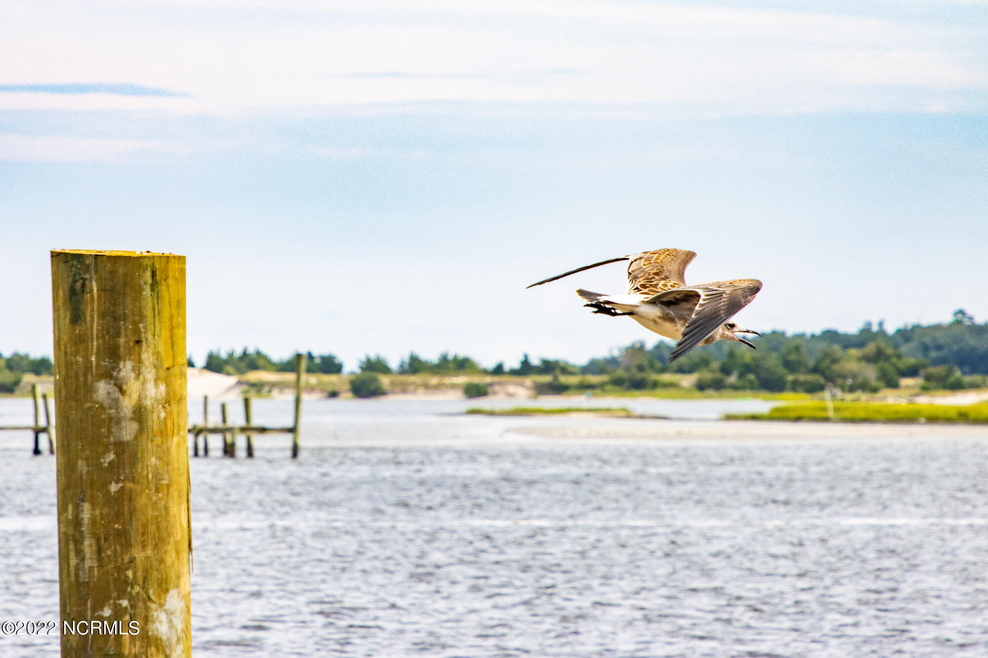 100345940 | Photo 12