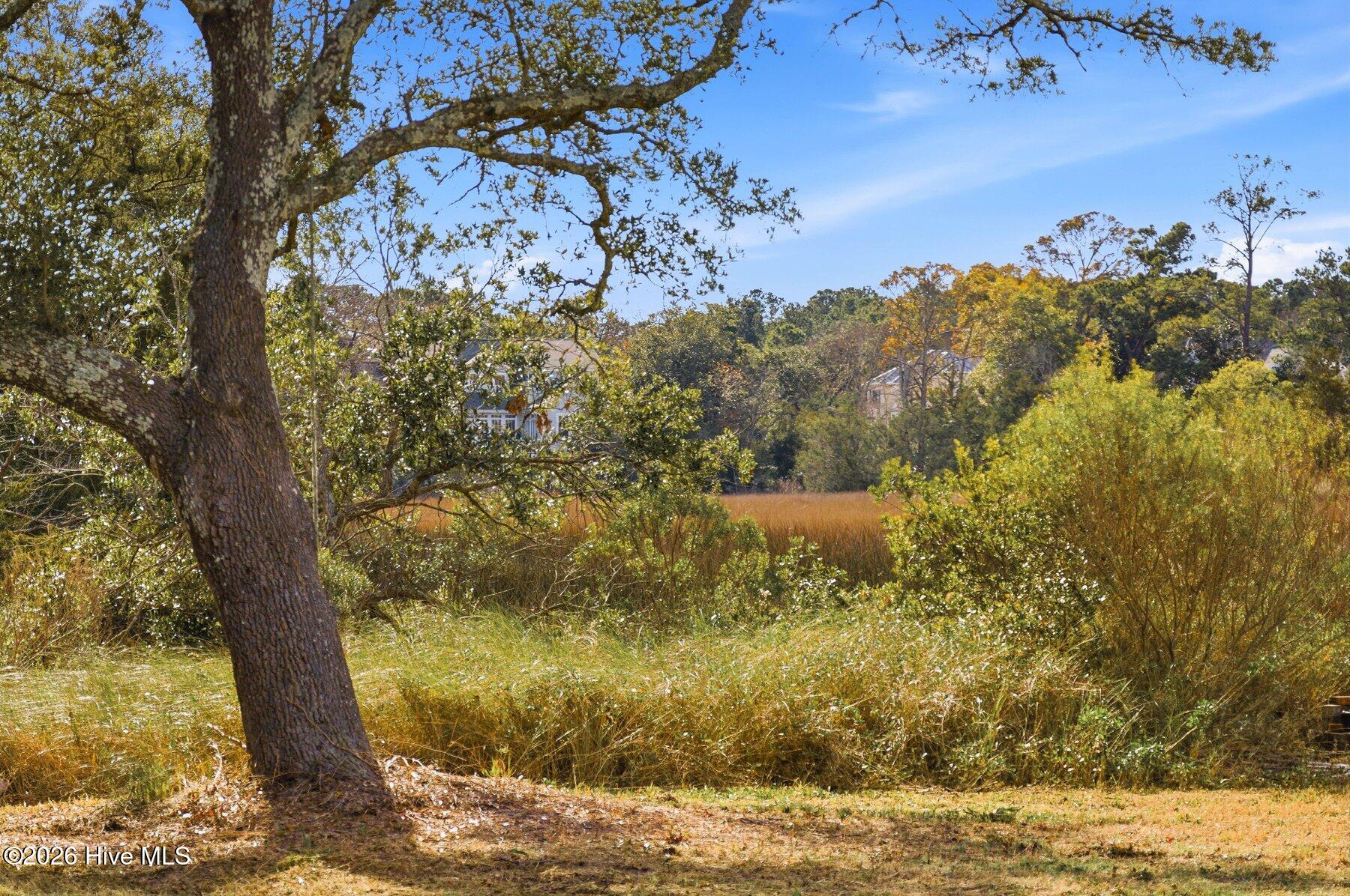 100551899 | Photo 10