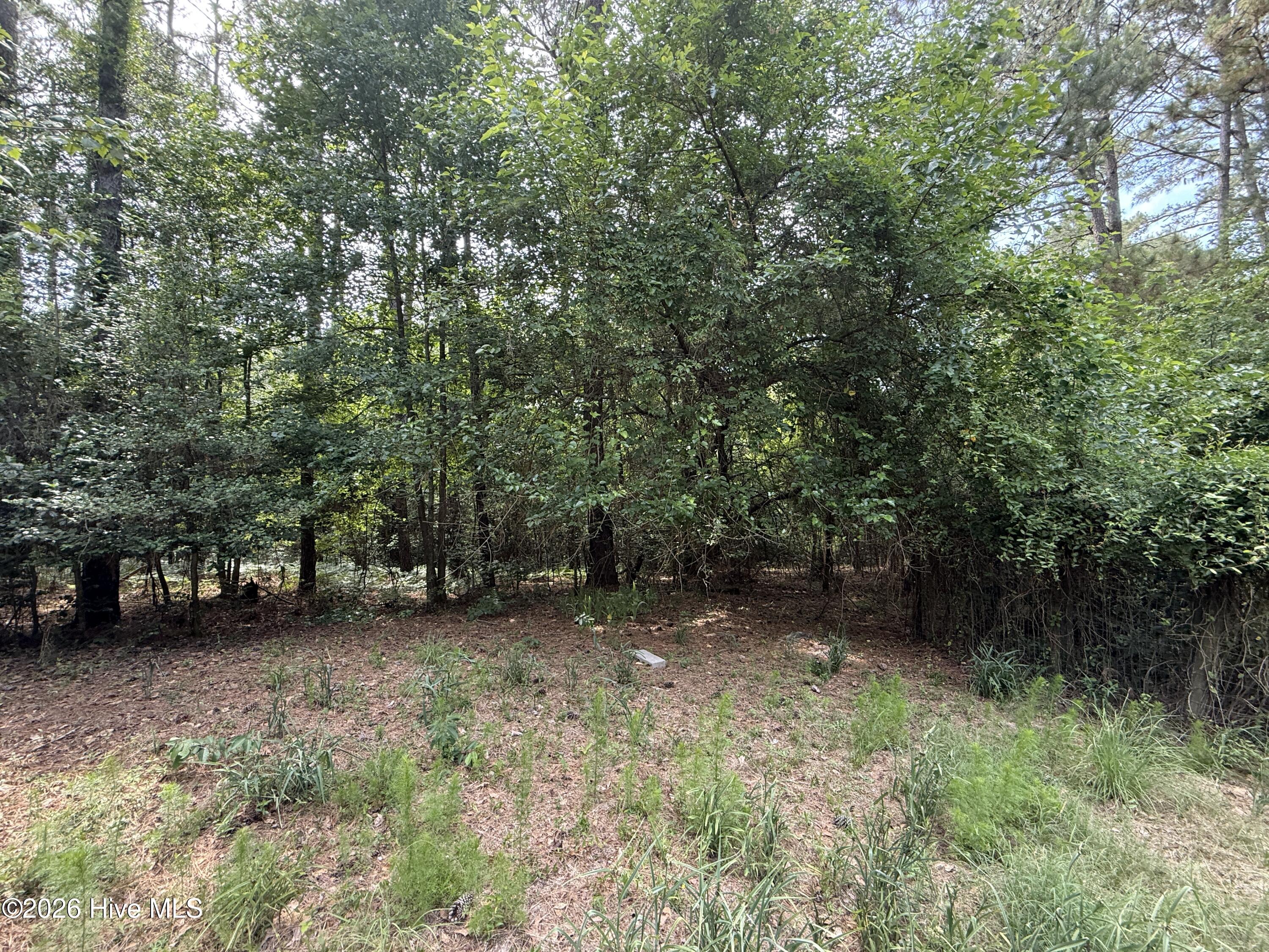 Exterior photo of 1240 Eagles Nest Road, Dudley, NC 28333. MLS: 100580386