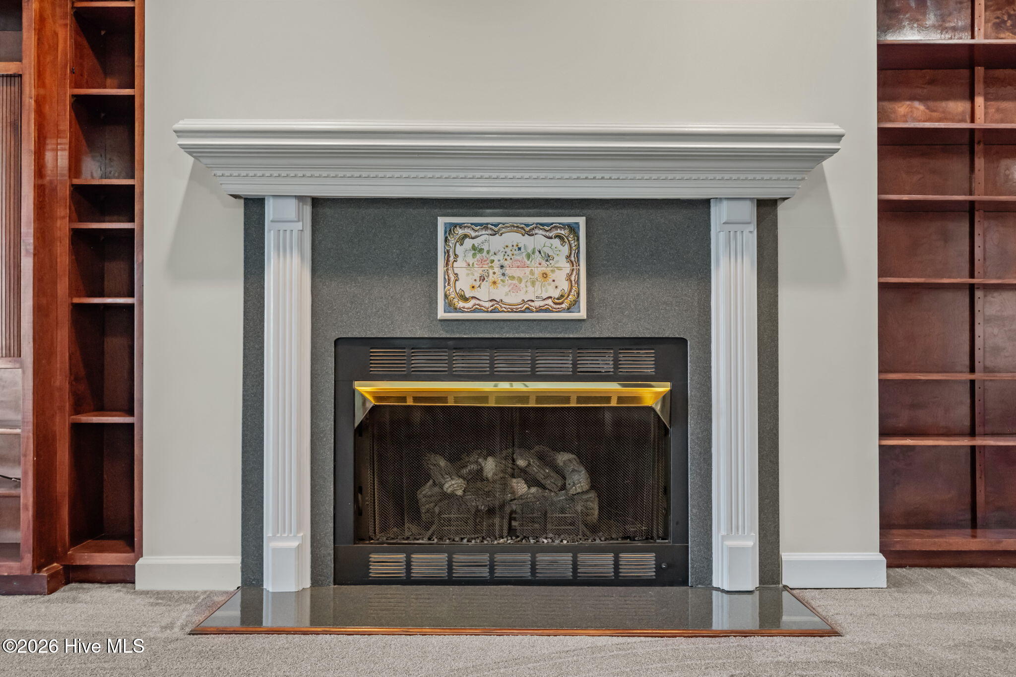 100542324 | Photo 31