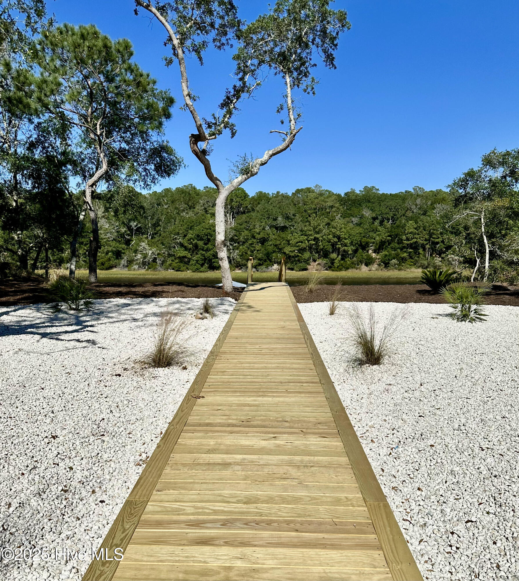 100537365 | Photo 54