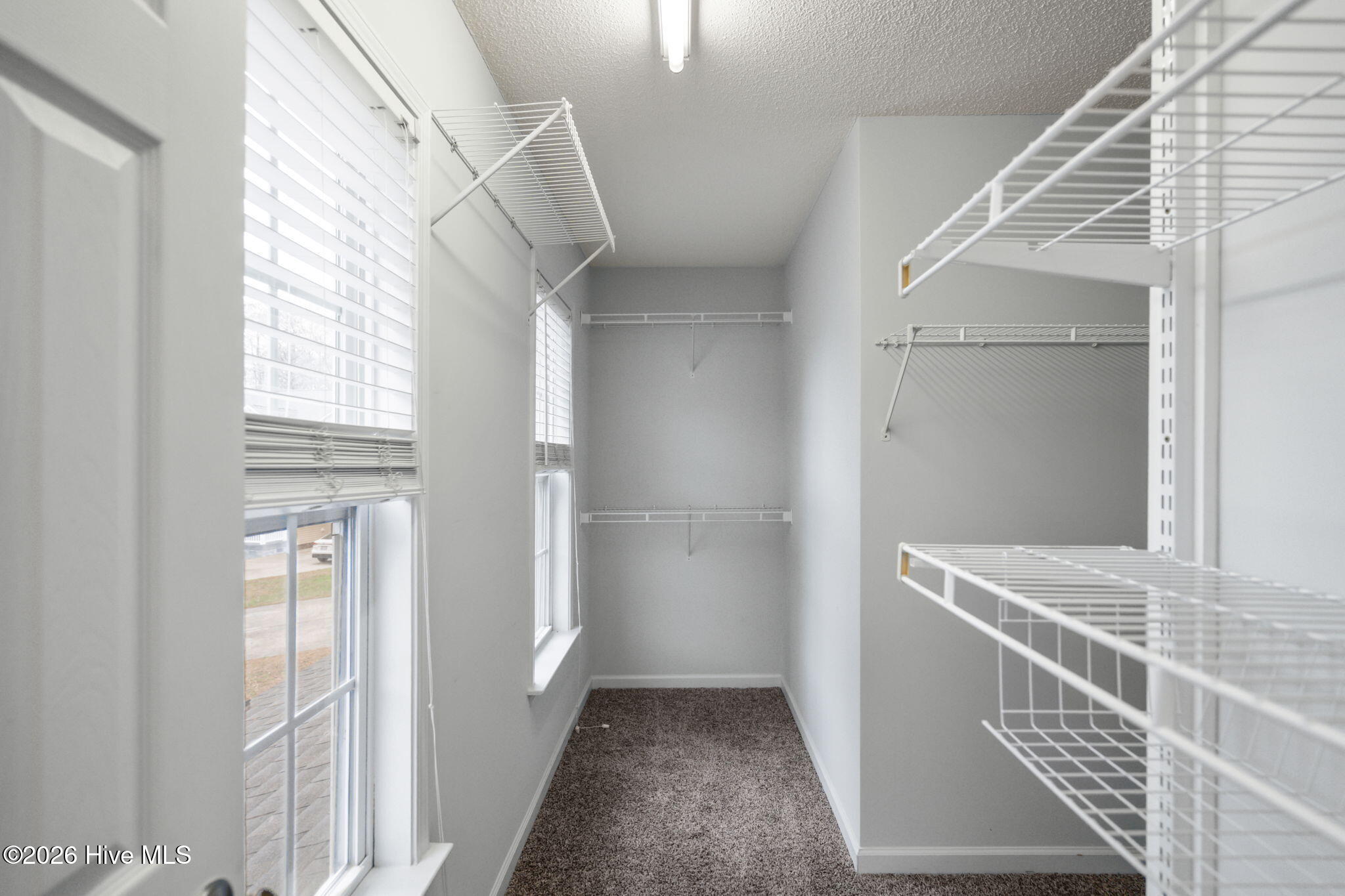 100558076 | Photo 29