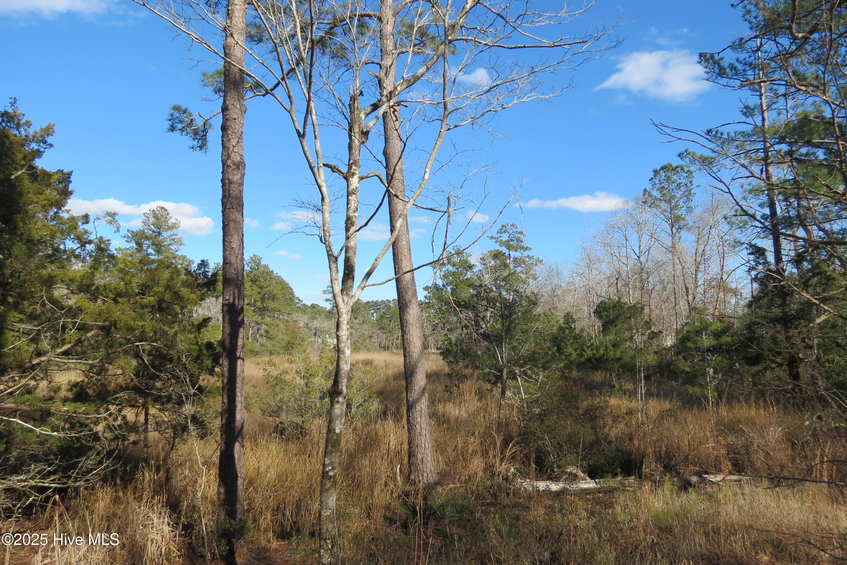 109 Winding Creek Drive, Oriental, NC, 28571