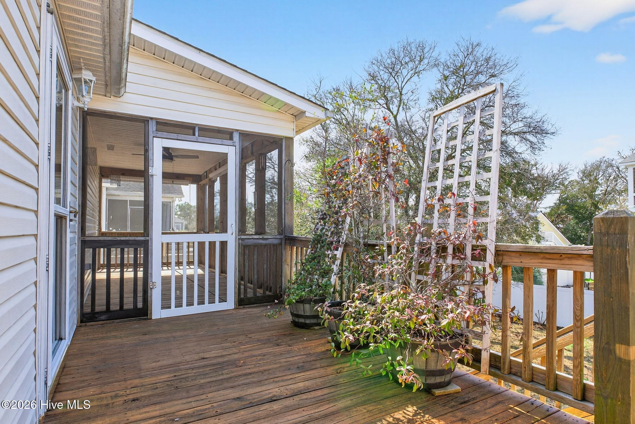 100558532 | Photo 45