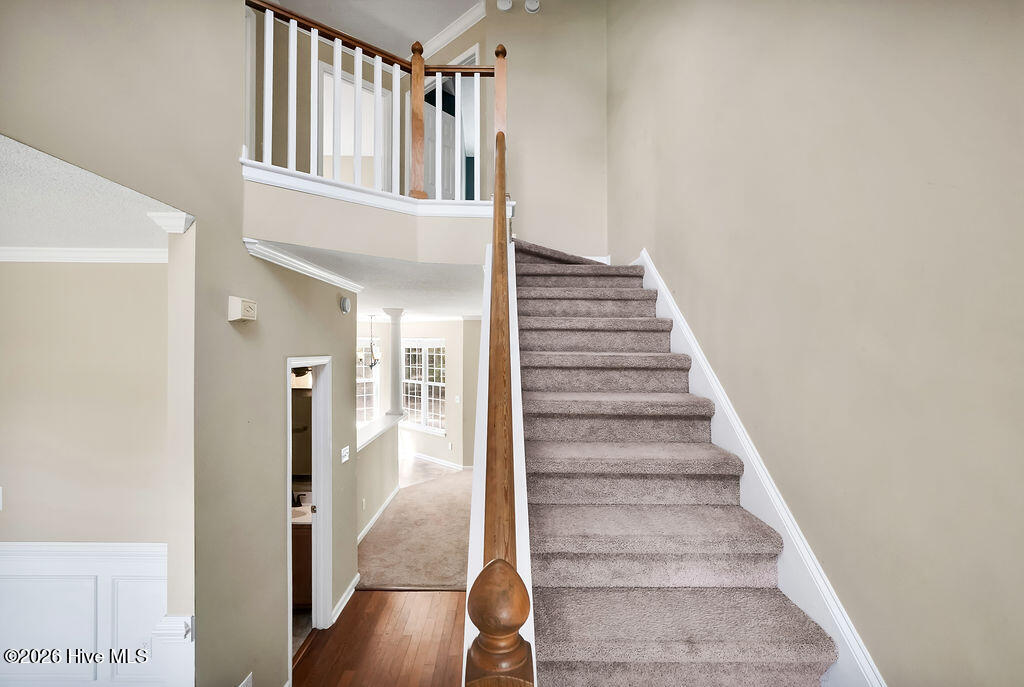 100563606 | Photo 19