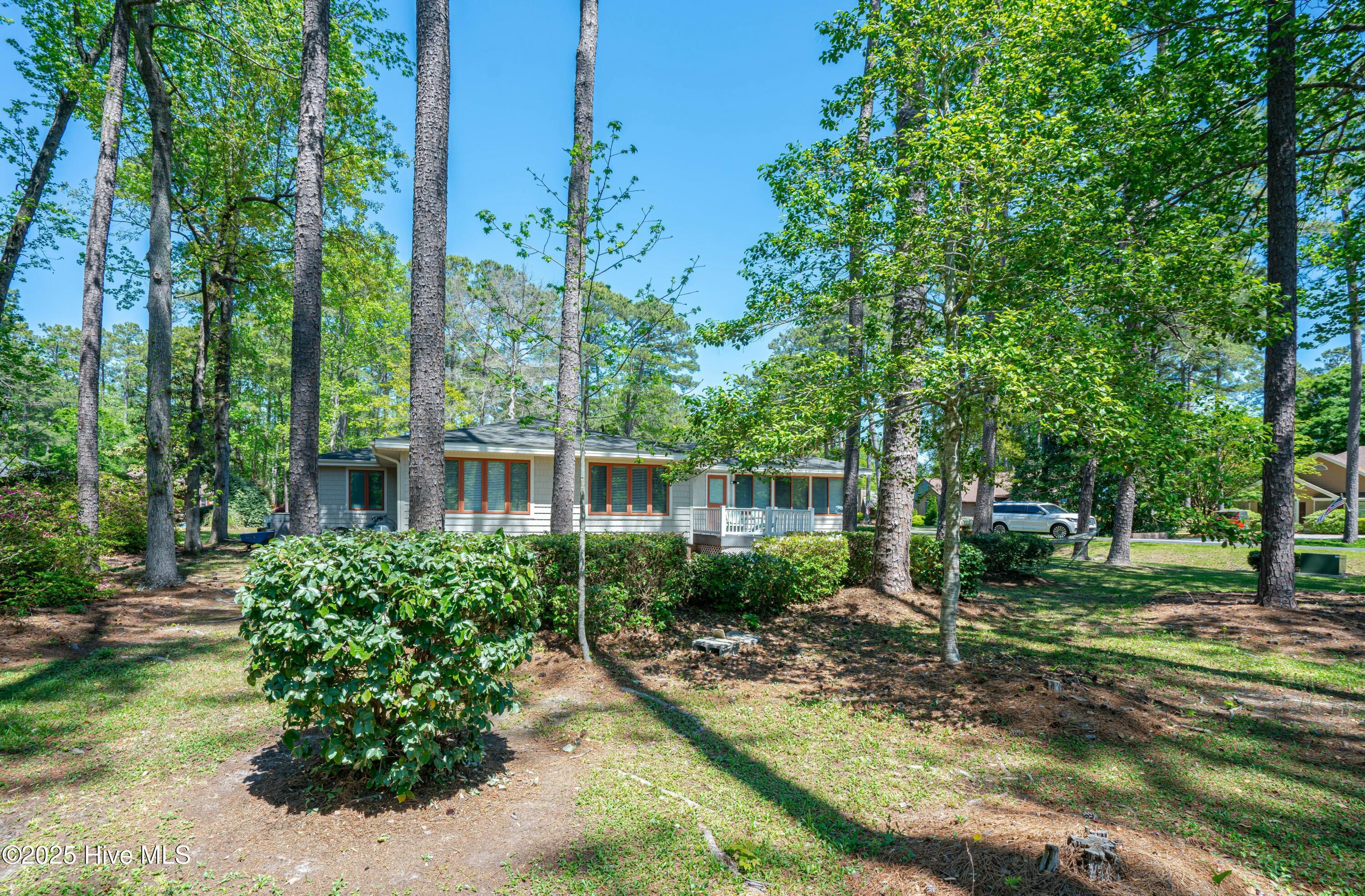 100502250 | Photo 41