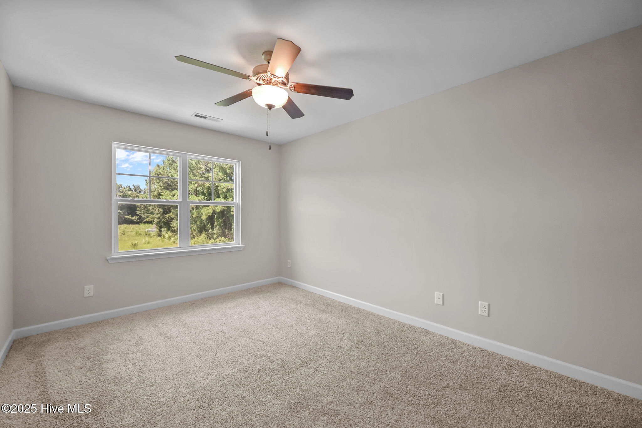 100549921 | Photo 25