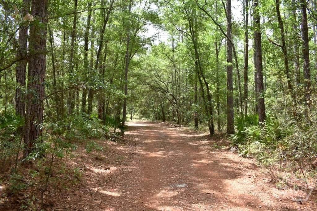 Homes for sale in Ellabell, GA | 2650 N Hwy 119, Ellabell, GA 31308 | MLS# SA356887