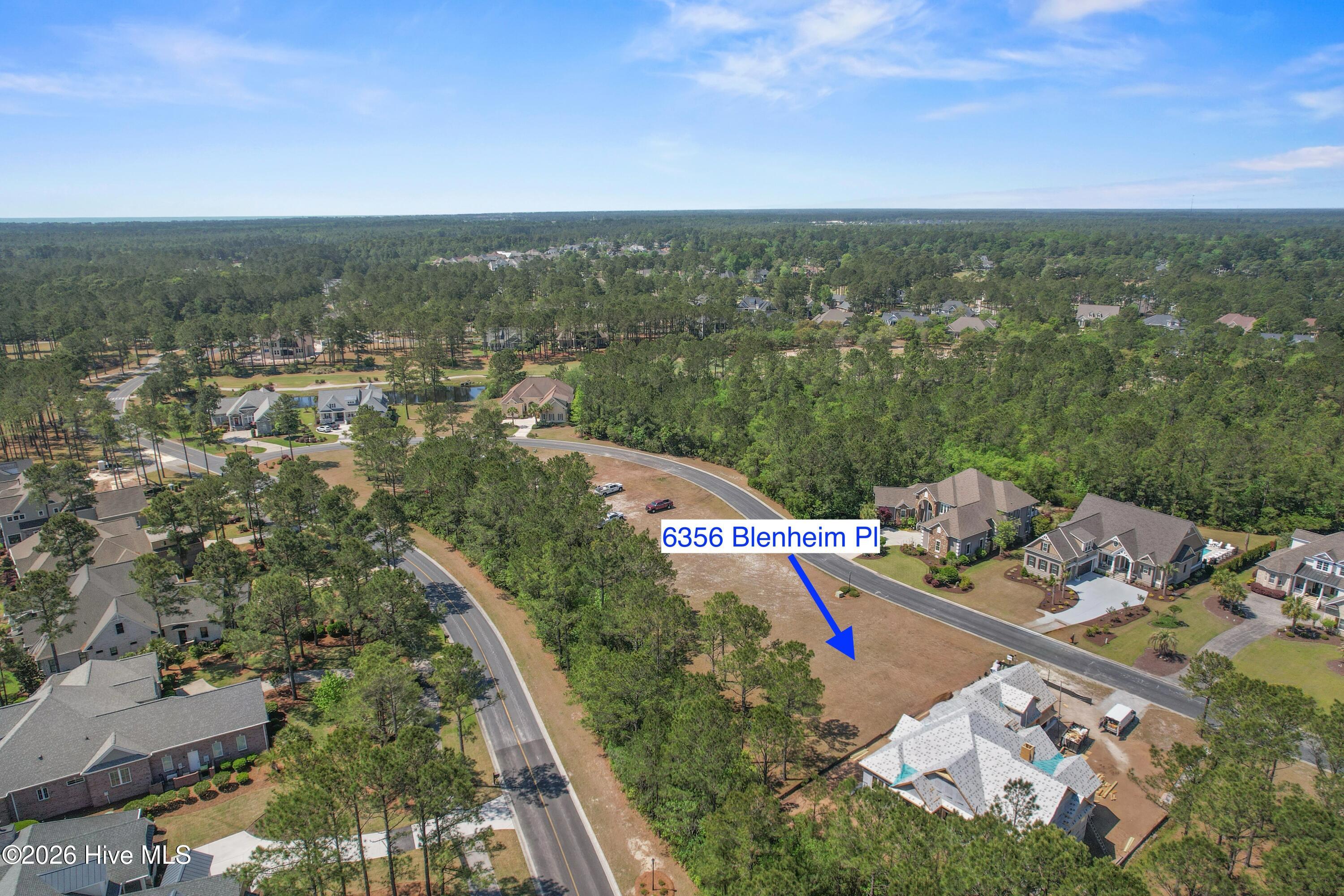 100570041 | Photo 14