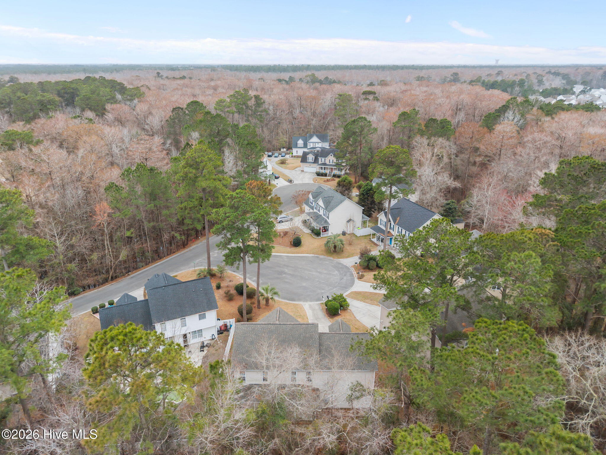 100558076 | Photo 48