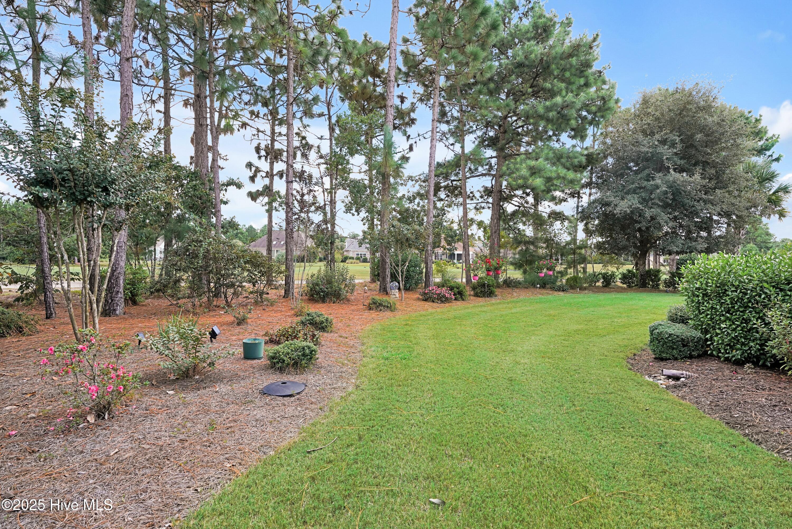 100557169 | Photo 47