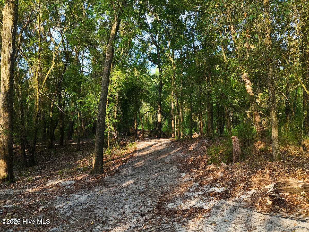 0 Durwood Evans Road, Beulaville, NC, 28518