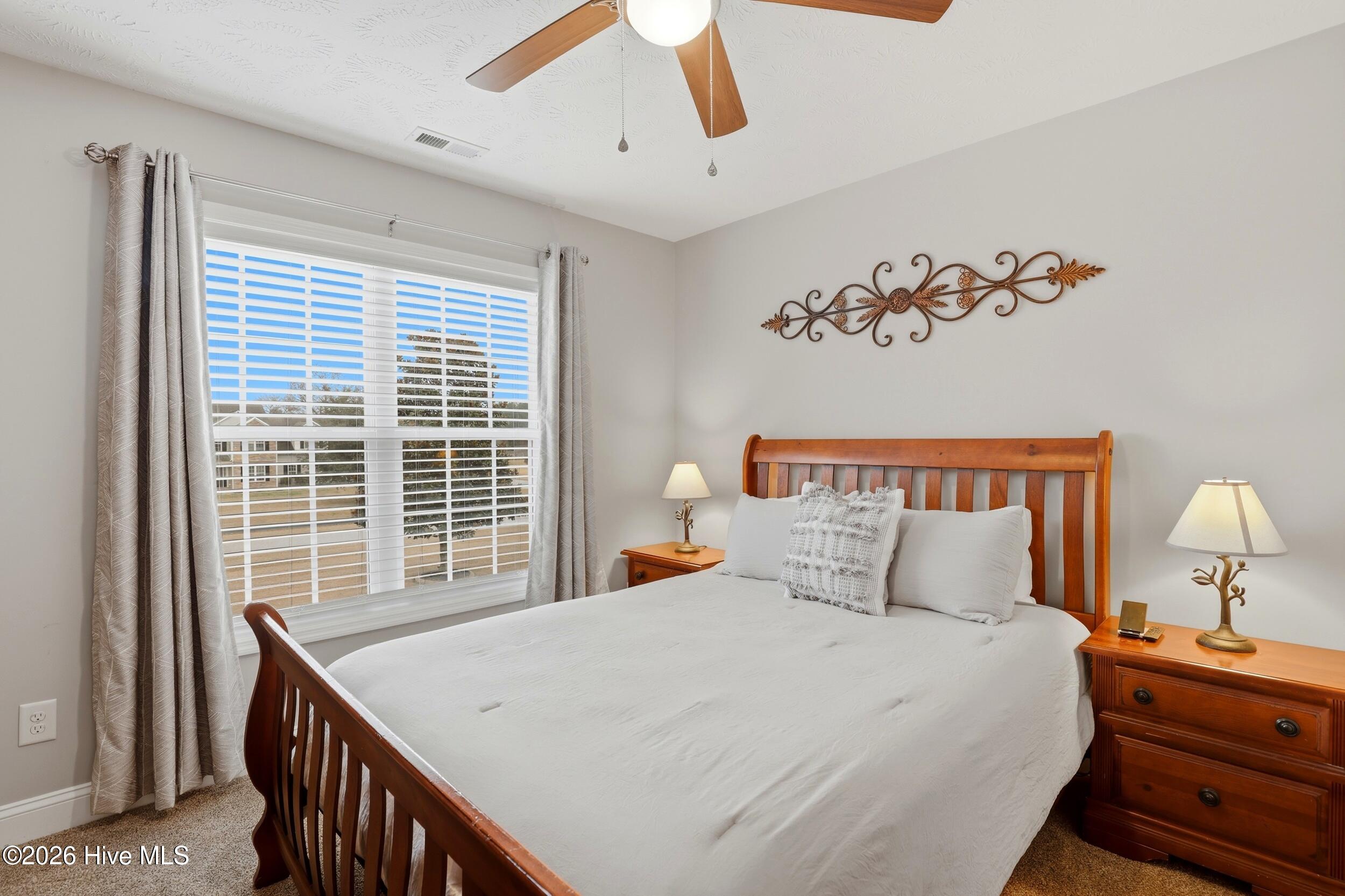 100558119 | Photo 25