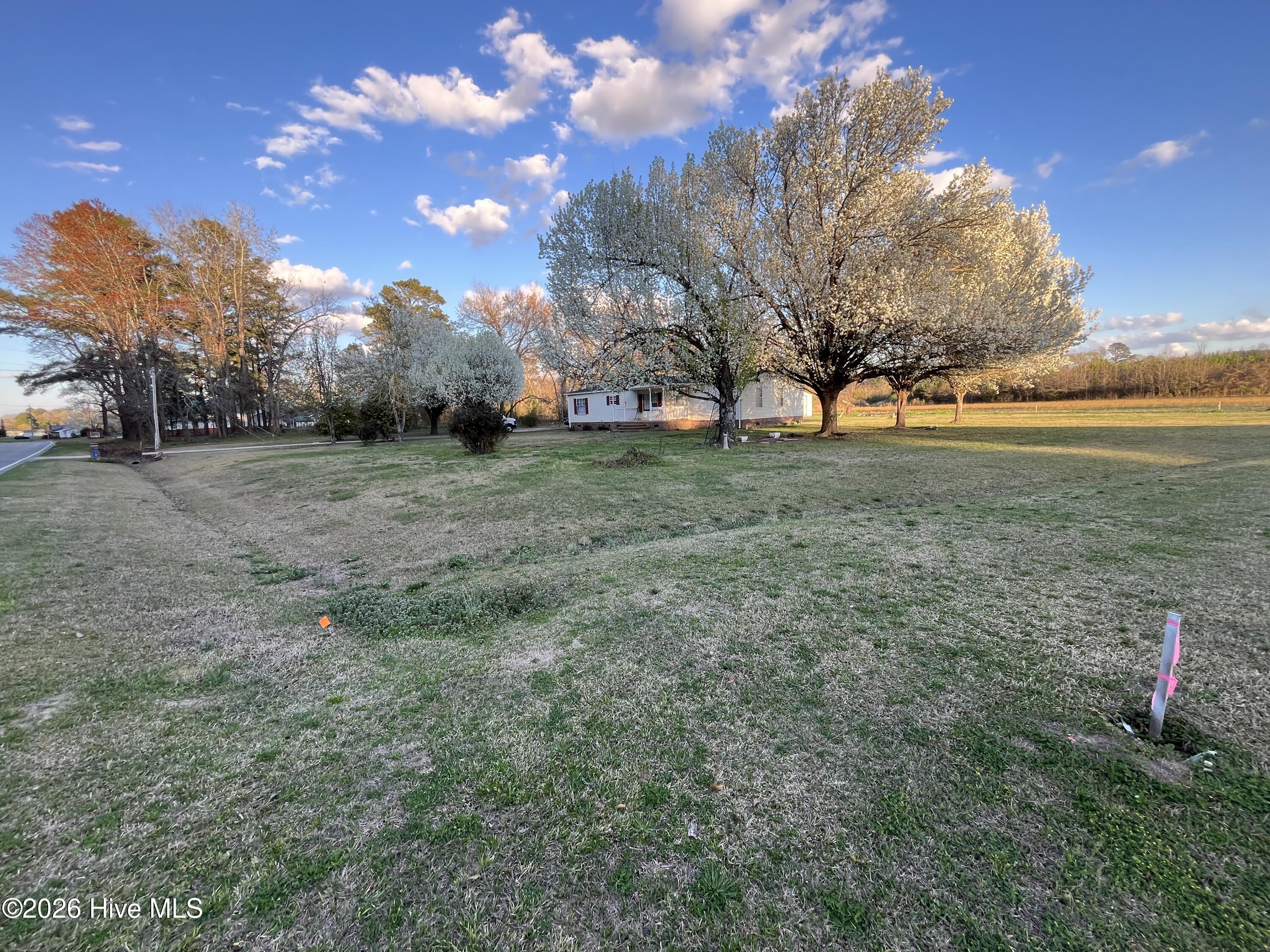 100568963 | Photo 22