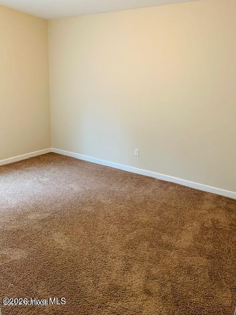 100554241 | Photo 13