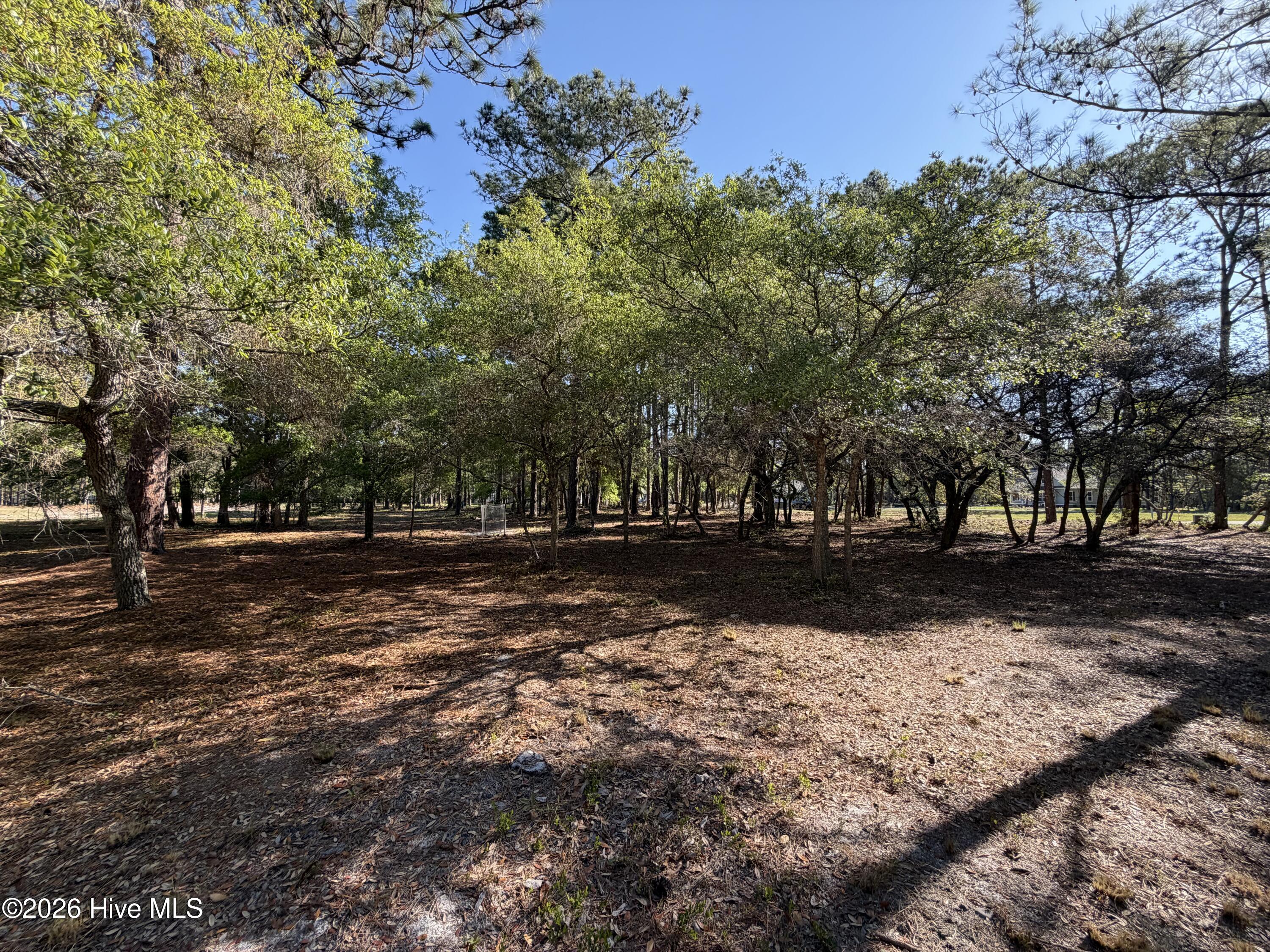 100569974 | Photo 24